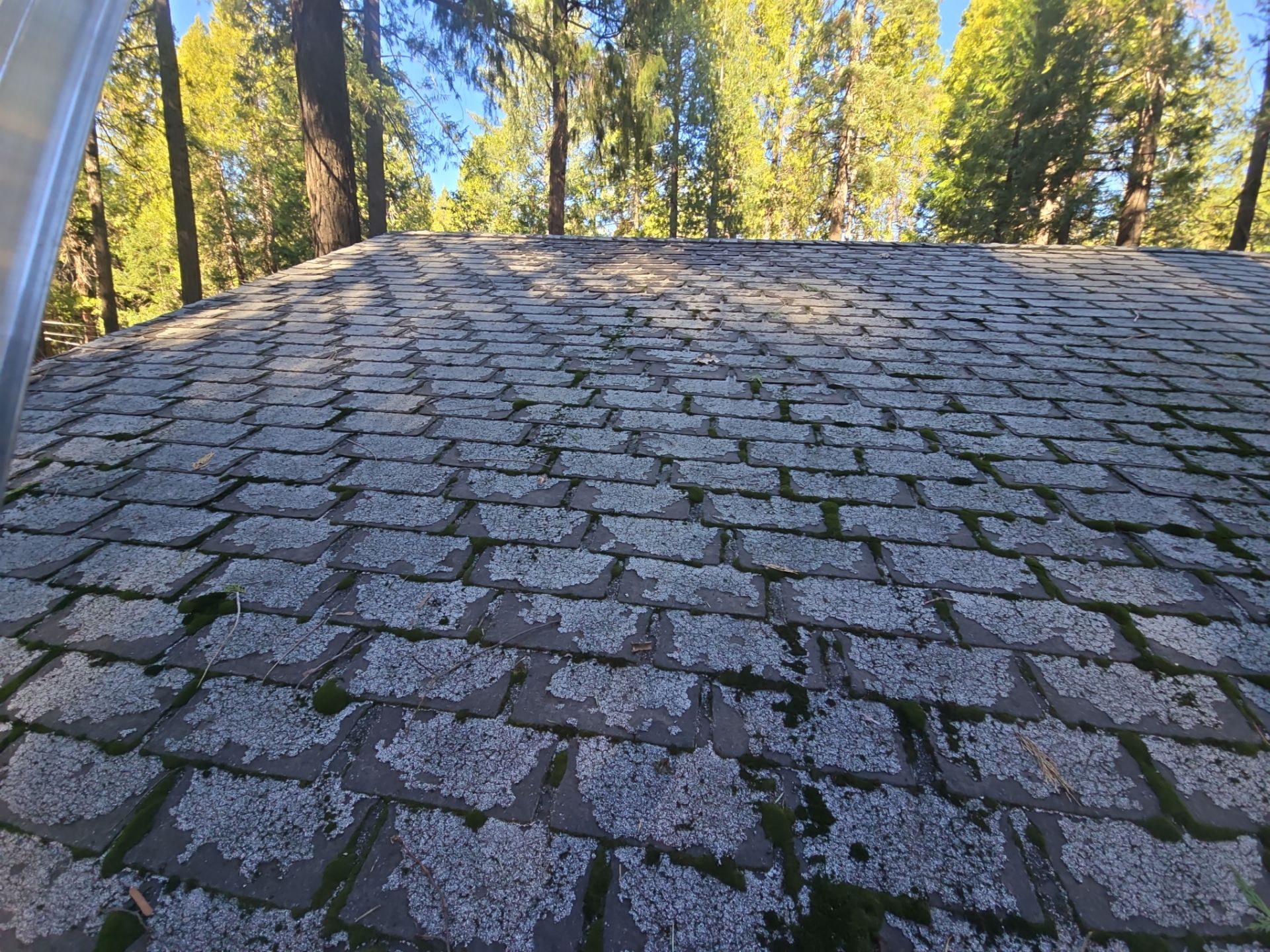 Roof Rejuvenation using Roof Maxx Treatment by Roof Maxx of Folsom