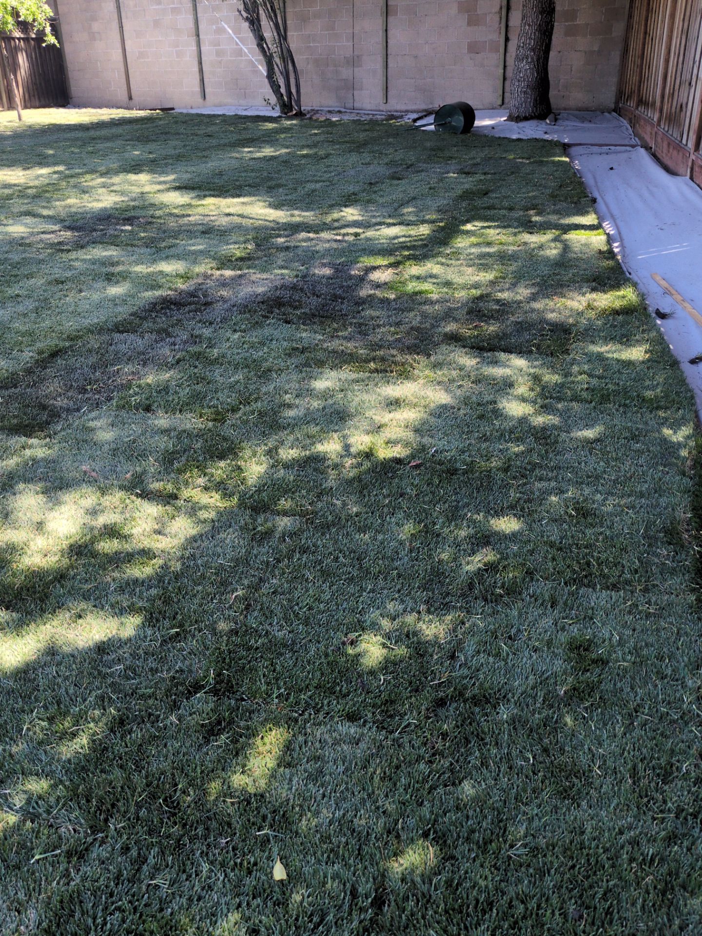 Project in San Jose by A - G Sod Farms