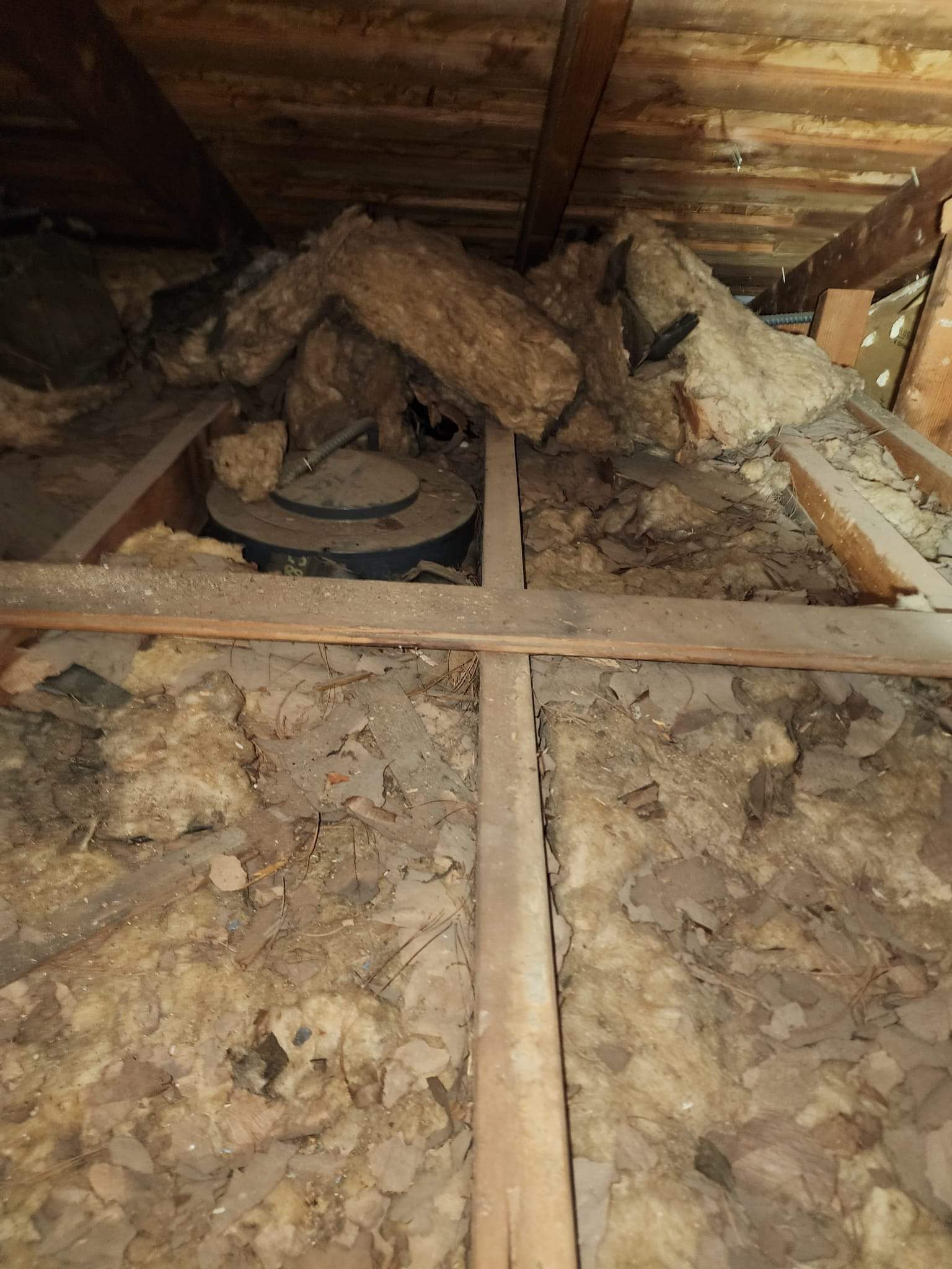 Project by Advanced Attic Solutions by Advanced Attic Solutions