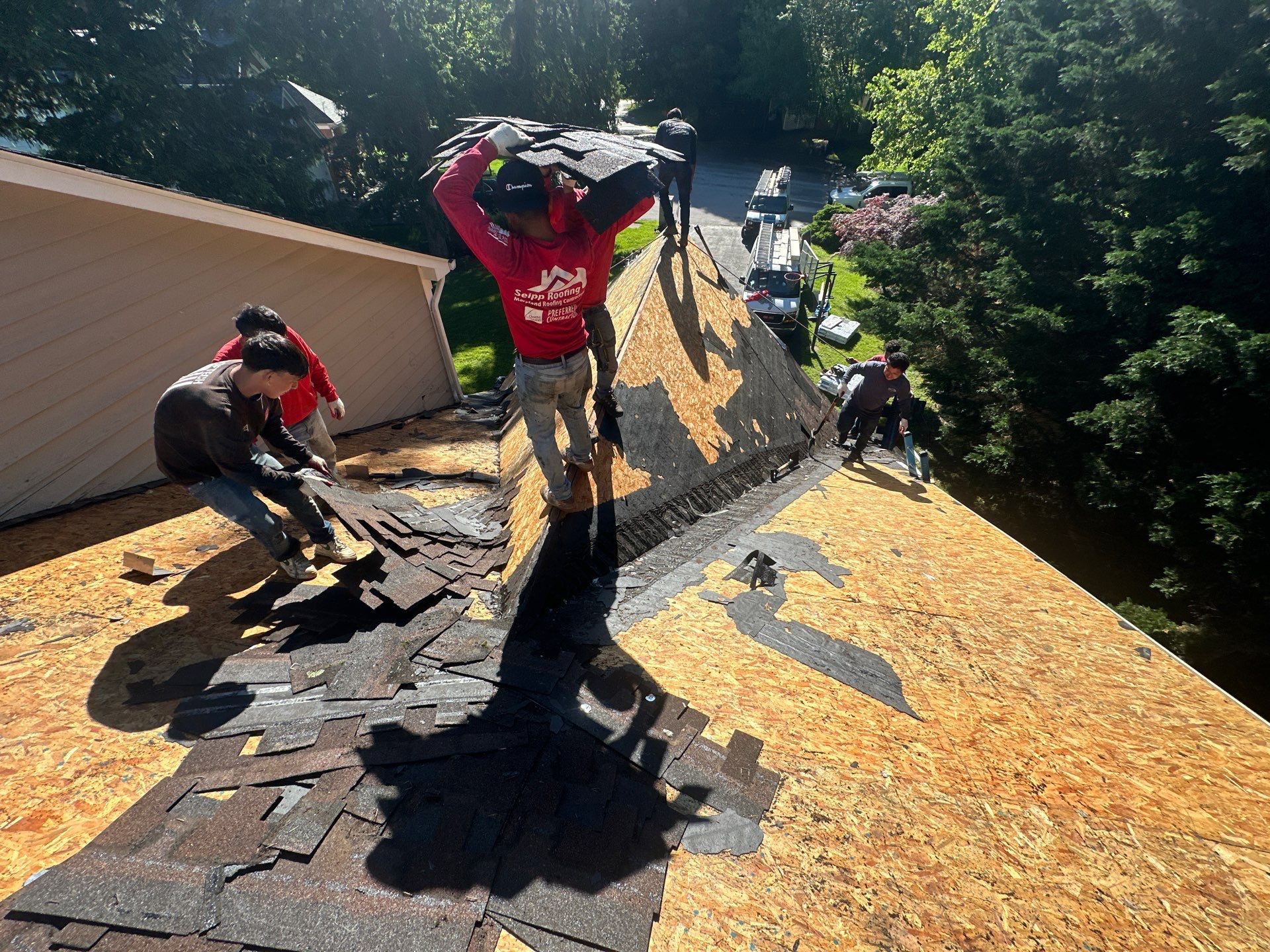 Designer Shingle Roof Replacement in Baltimore, MD • Susan S. by Seipp Roofing, LLC