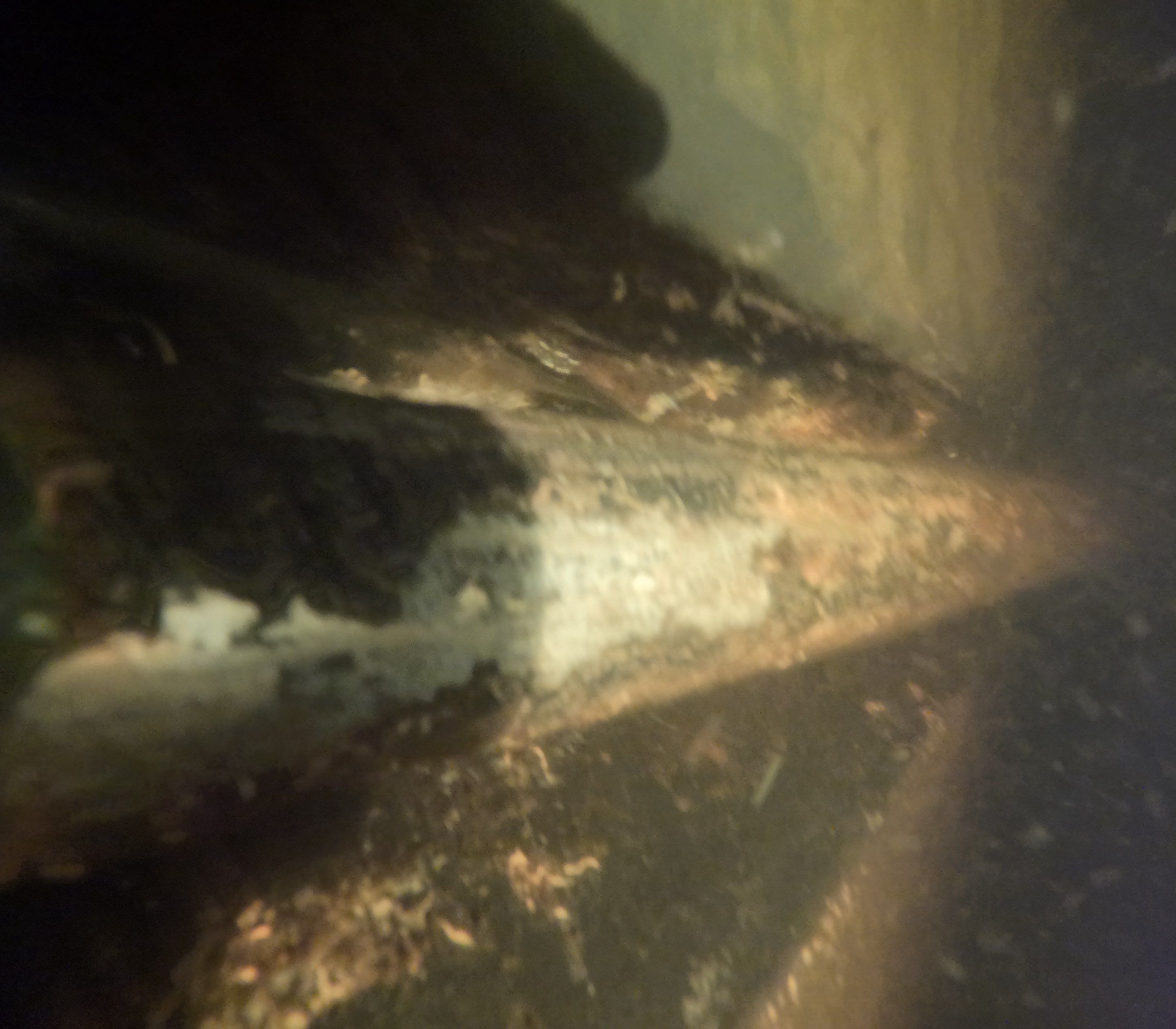 Project in North Fort Myers, FL by Florida Hull Cleaning 