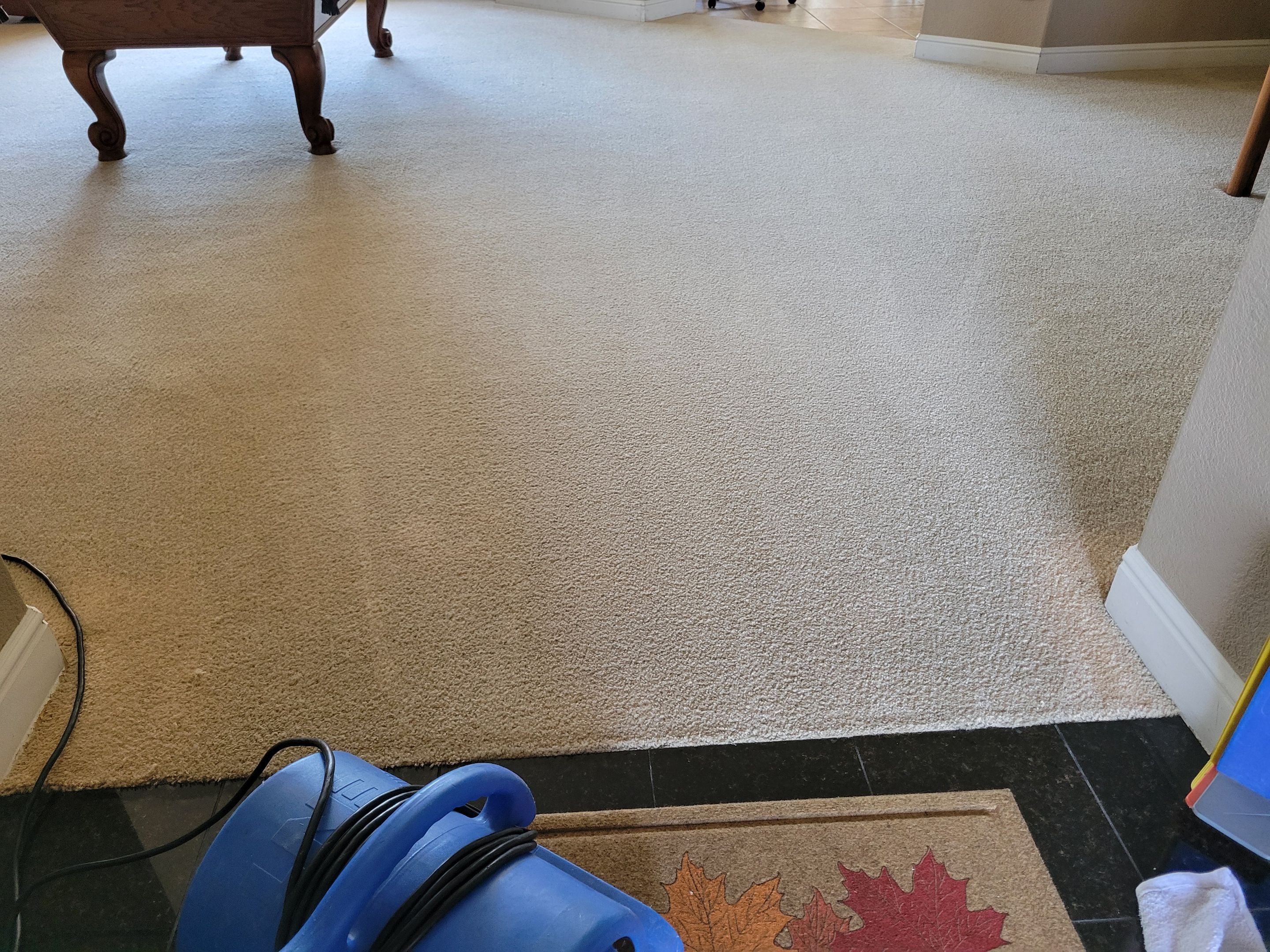 Carpet Cleaning in West Sacramento by Ardent Carpet Restore LLC