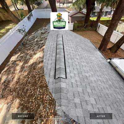 Shingle Roof Debris Removal and Cleaning