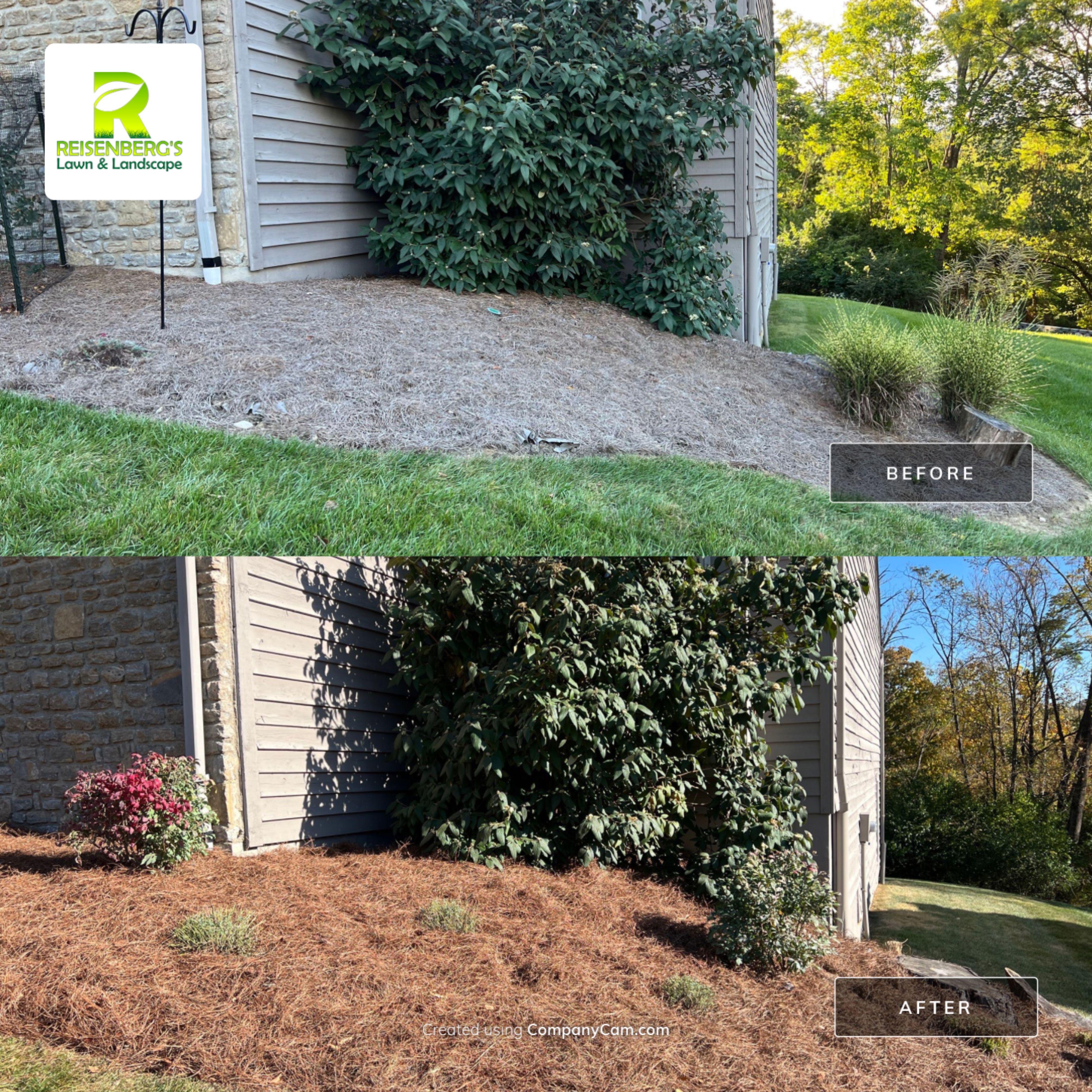Spring Clean Up using Pine Straw by Reisenberg’s Lawn & Landscape, LLC