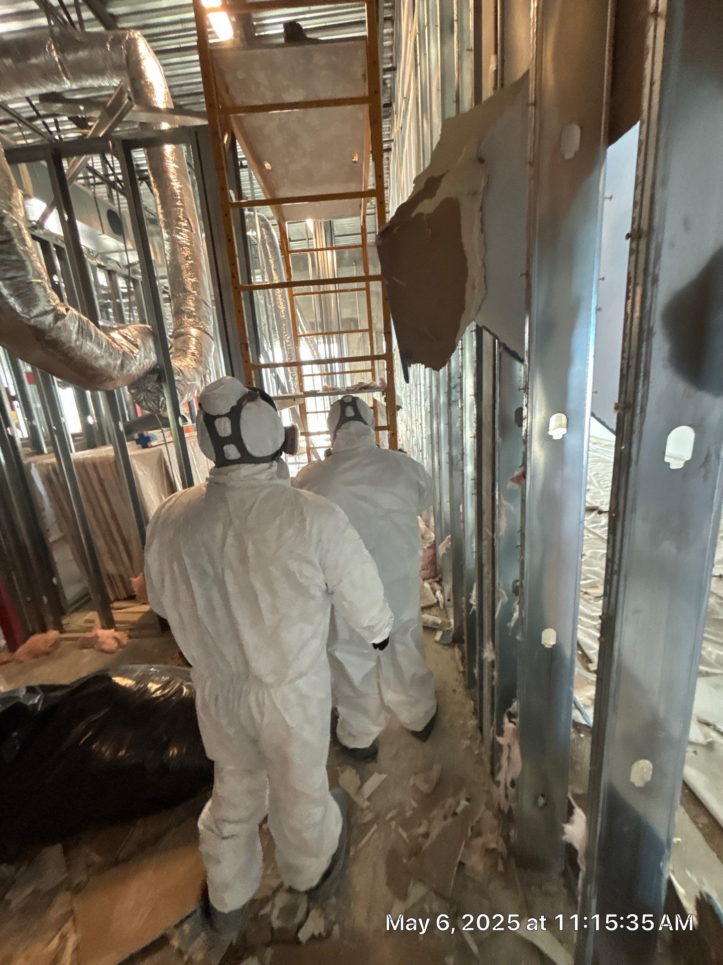 Parrish Mold Removal & Remediation  by Ampm Restoration Services 