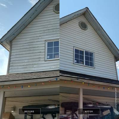 Black Mold Removal using Biocide