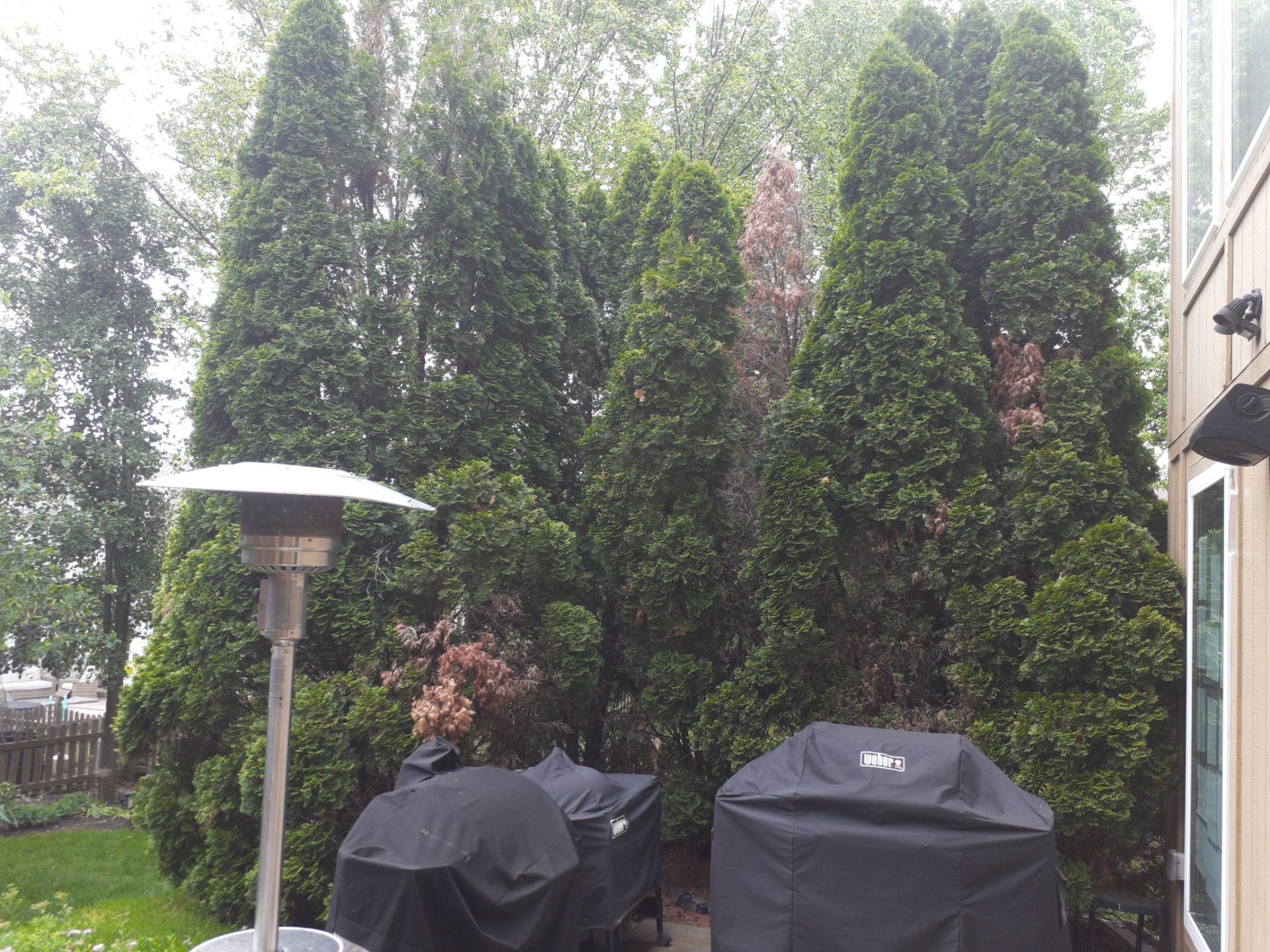 Back Yard Patio, Pergola, and Deck by LAND ESCAPES LLC
