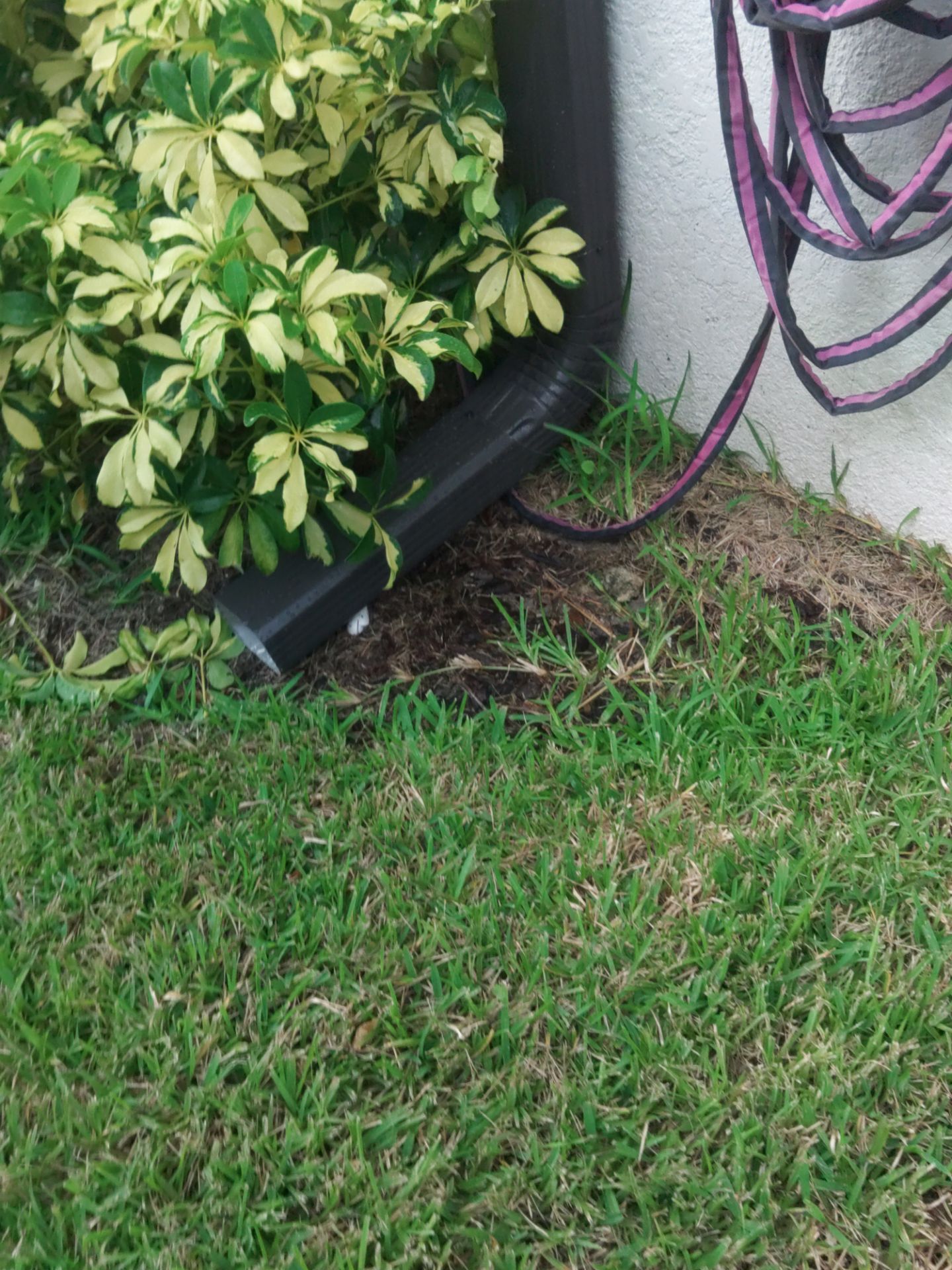 Bronze Seamless Gutters in Bradenton FL by Gutter Professors