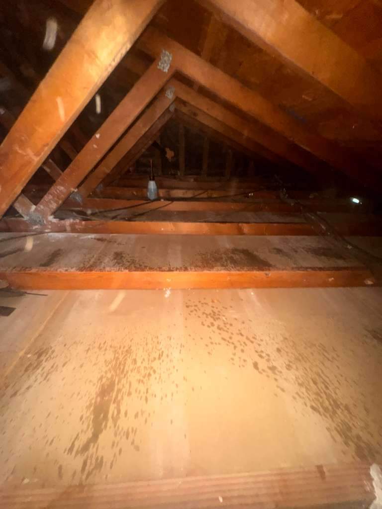 Project in Newport Beach by Advanced Attic Solutions