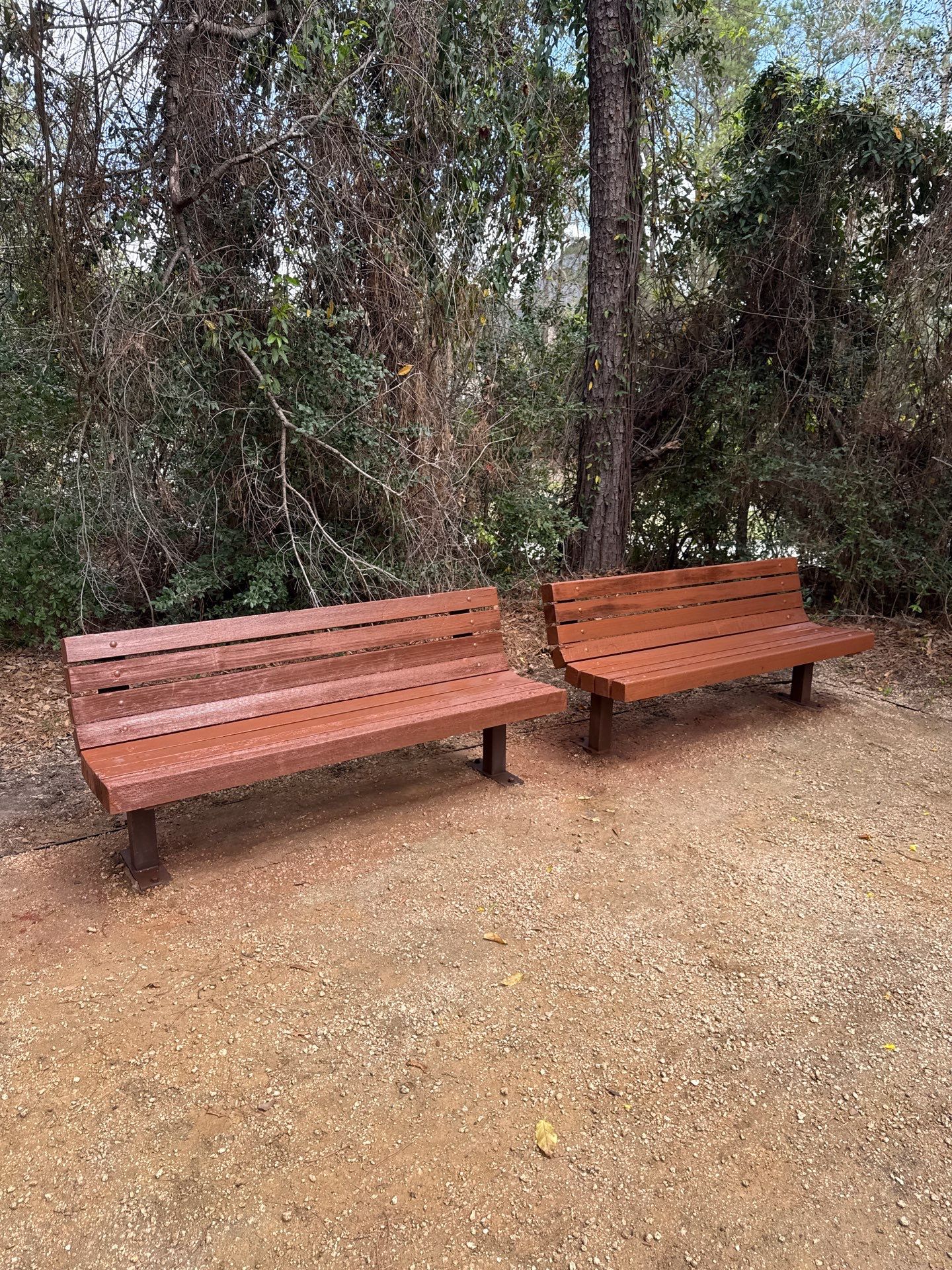 Clean and Stain Picnic Tables and Park Benches by Cypress Curb Appeal Services