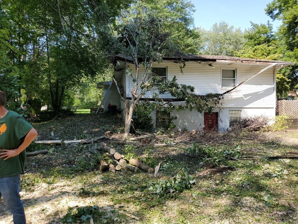 Storm Damaged Tree Removal  by Mike Jones & Sons Tree Service LLC 