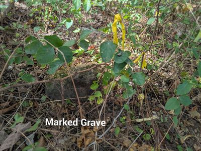 Unmarked Grave Scan