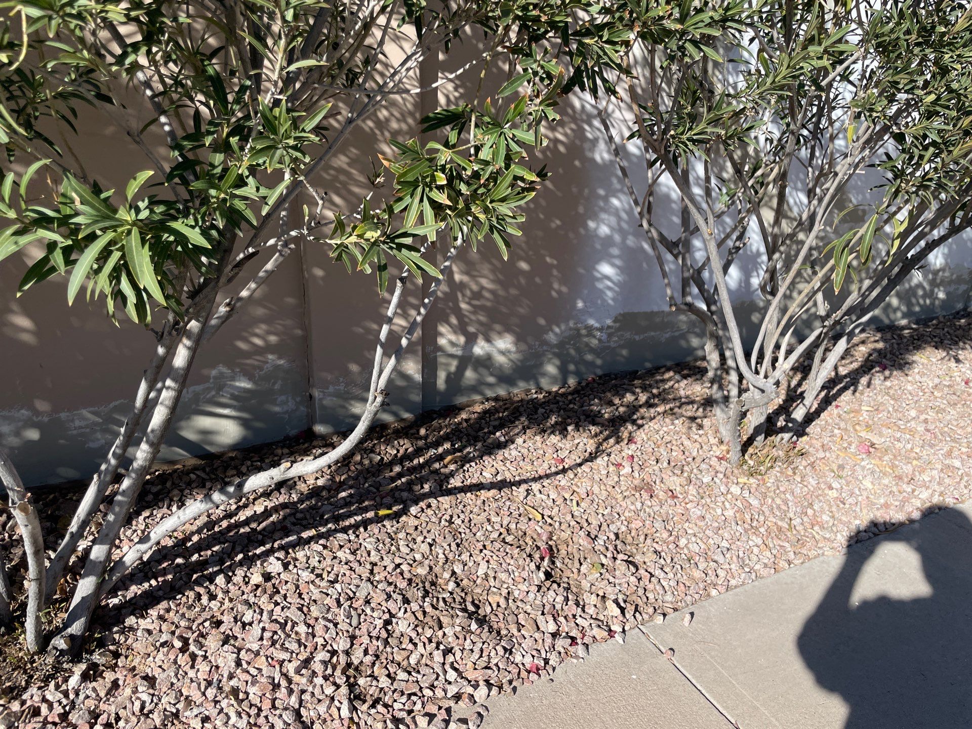 Gazzo - A Beautiful Home Exterior Transformation in Scottsdale, AZ with C&M Primer and Sherwin Williams Paints by Double G Painting Contractors, LLC
