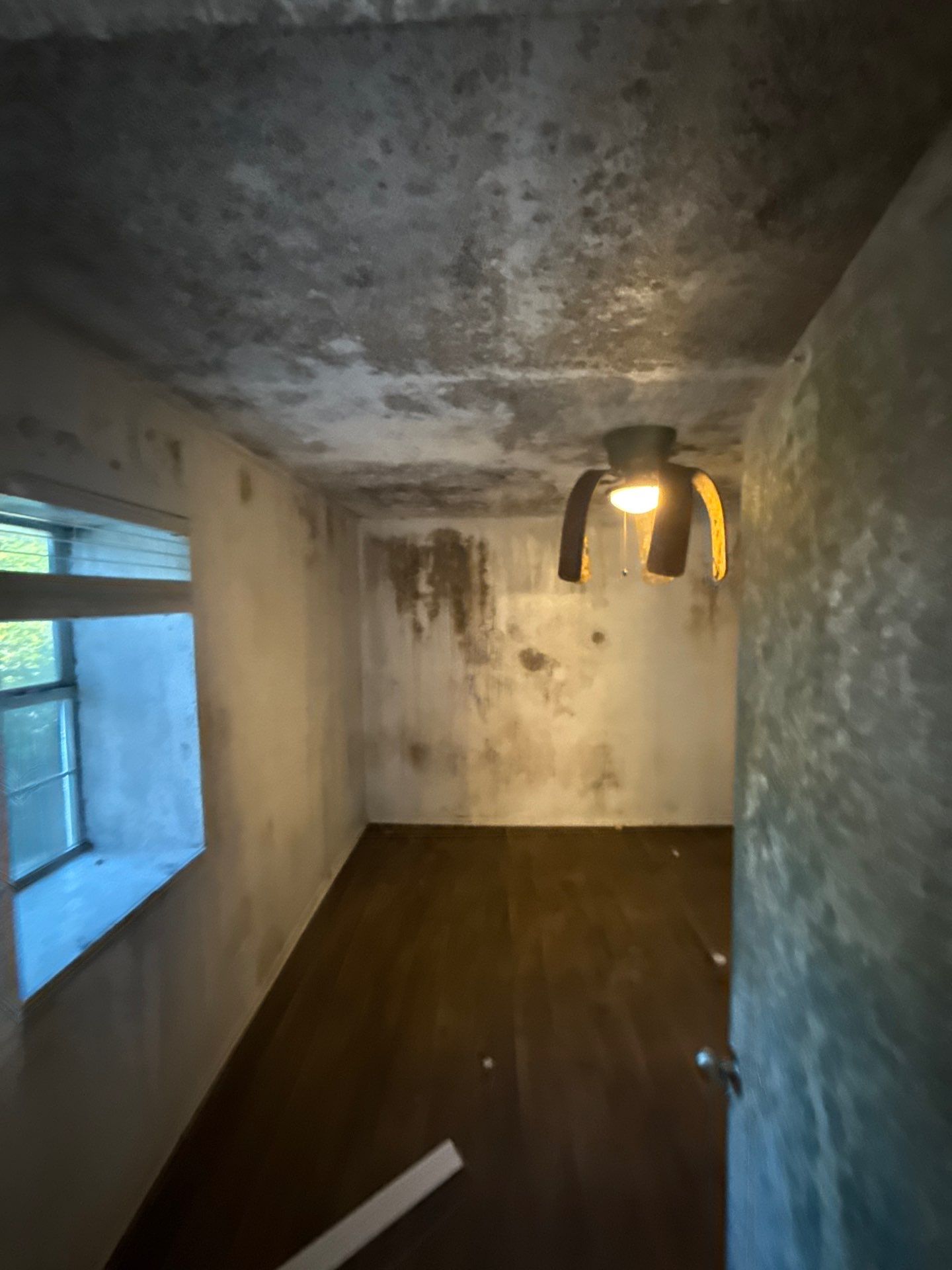 The Slate by Disaster Recovery Consultants