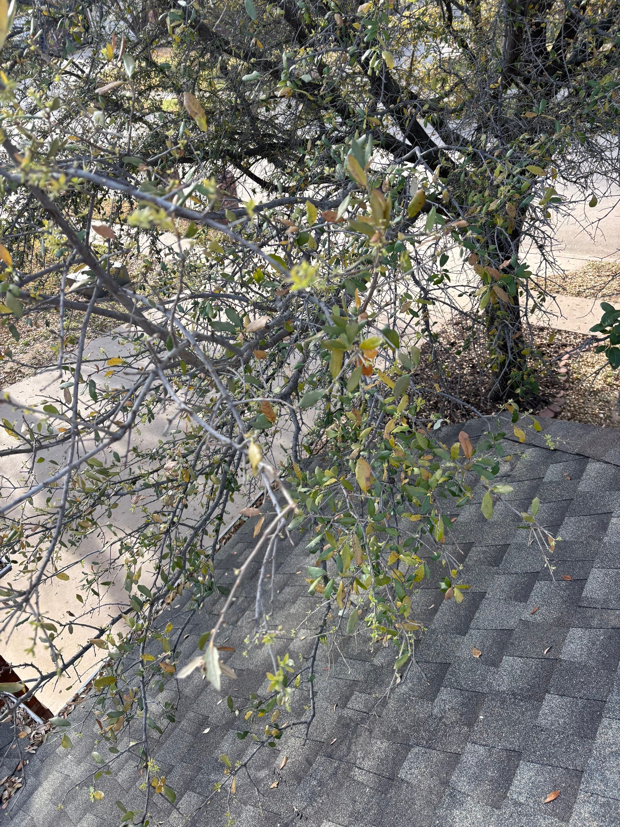 Work Before going on the Market. by Berry Good Roofing 
