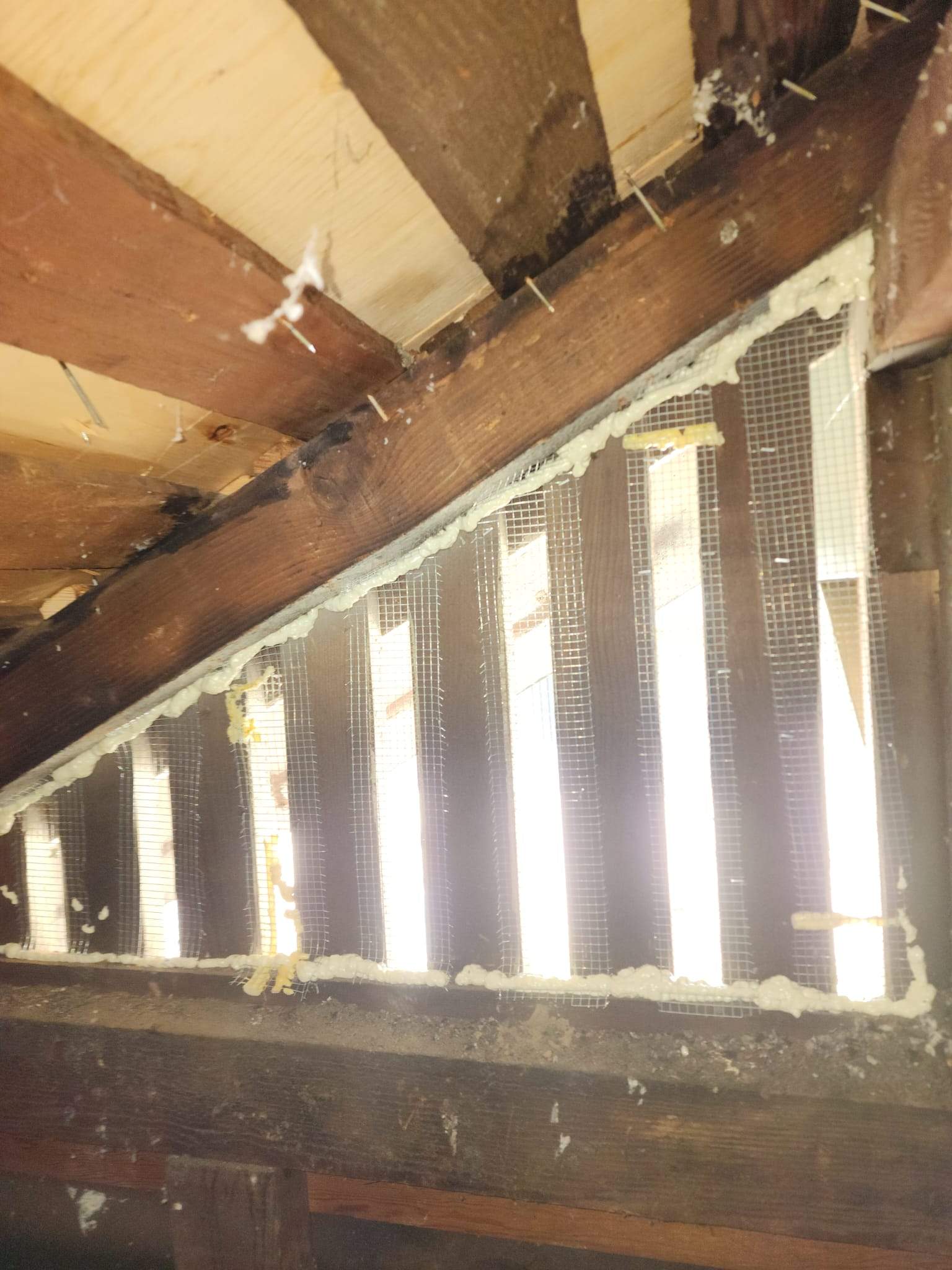 Project by Advanced Attic Solutions by Advanced Attic Solutions