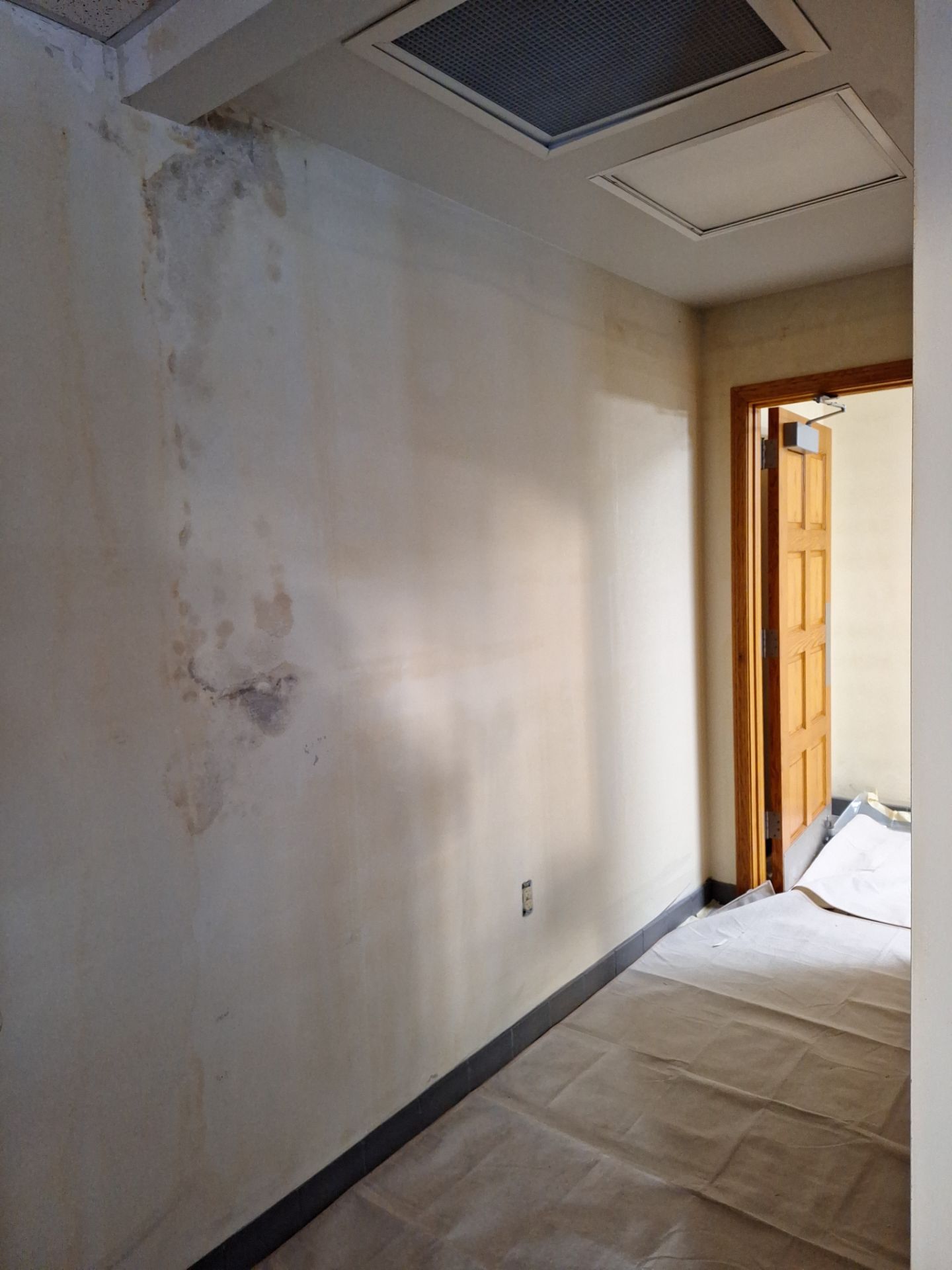 Wallpaper removal and Painting by Gordon Painting