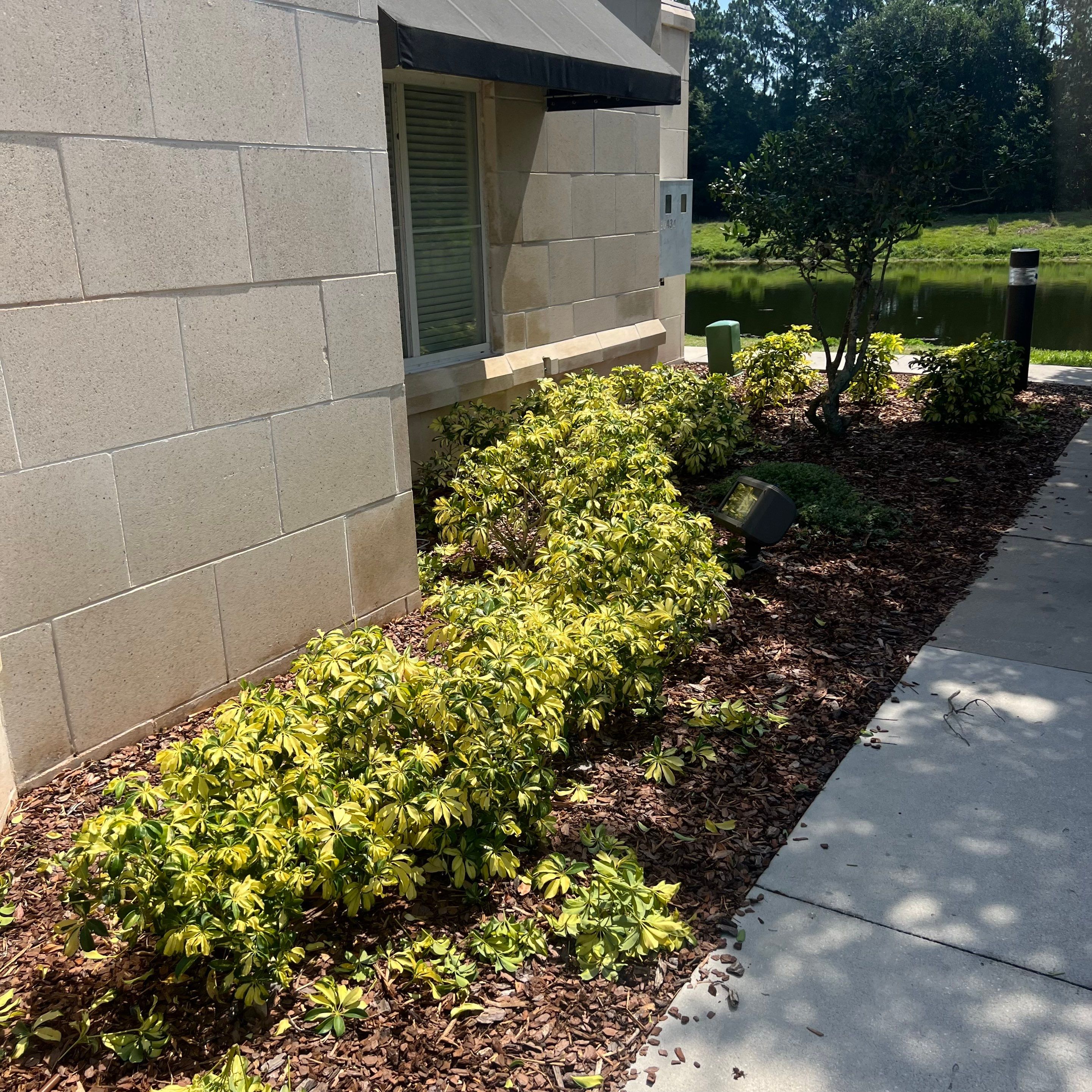 Homewood Suites | Tree Service by ProGreen Services