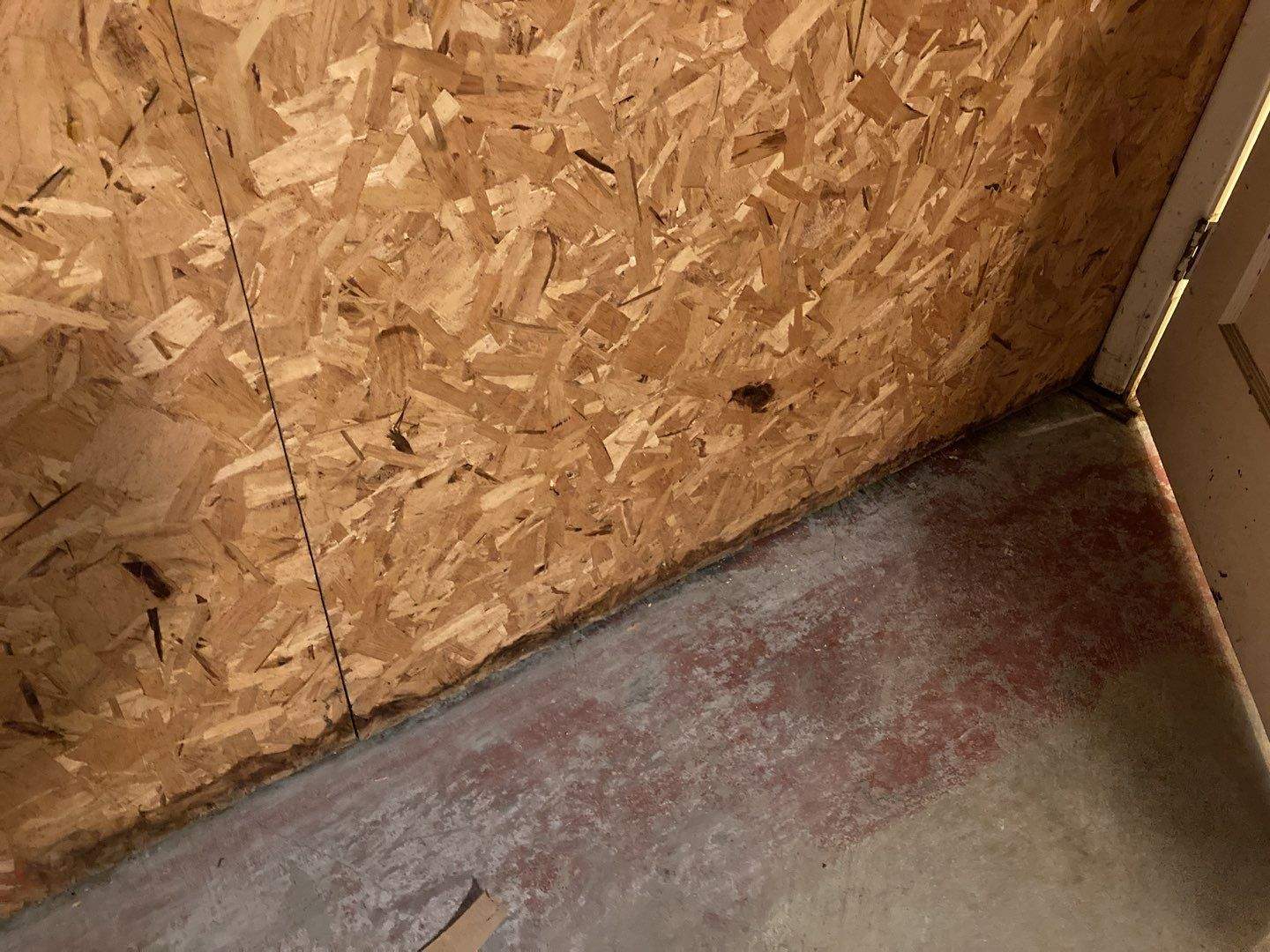 Mold Remediation in Basement by Accountable Home Services