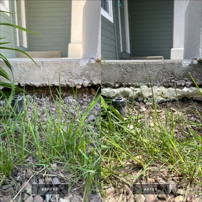 Walkway Lift and Level by Trenton