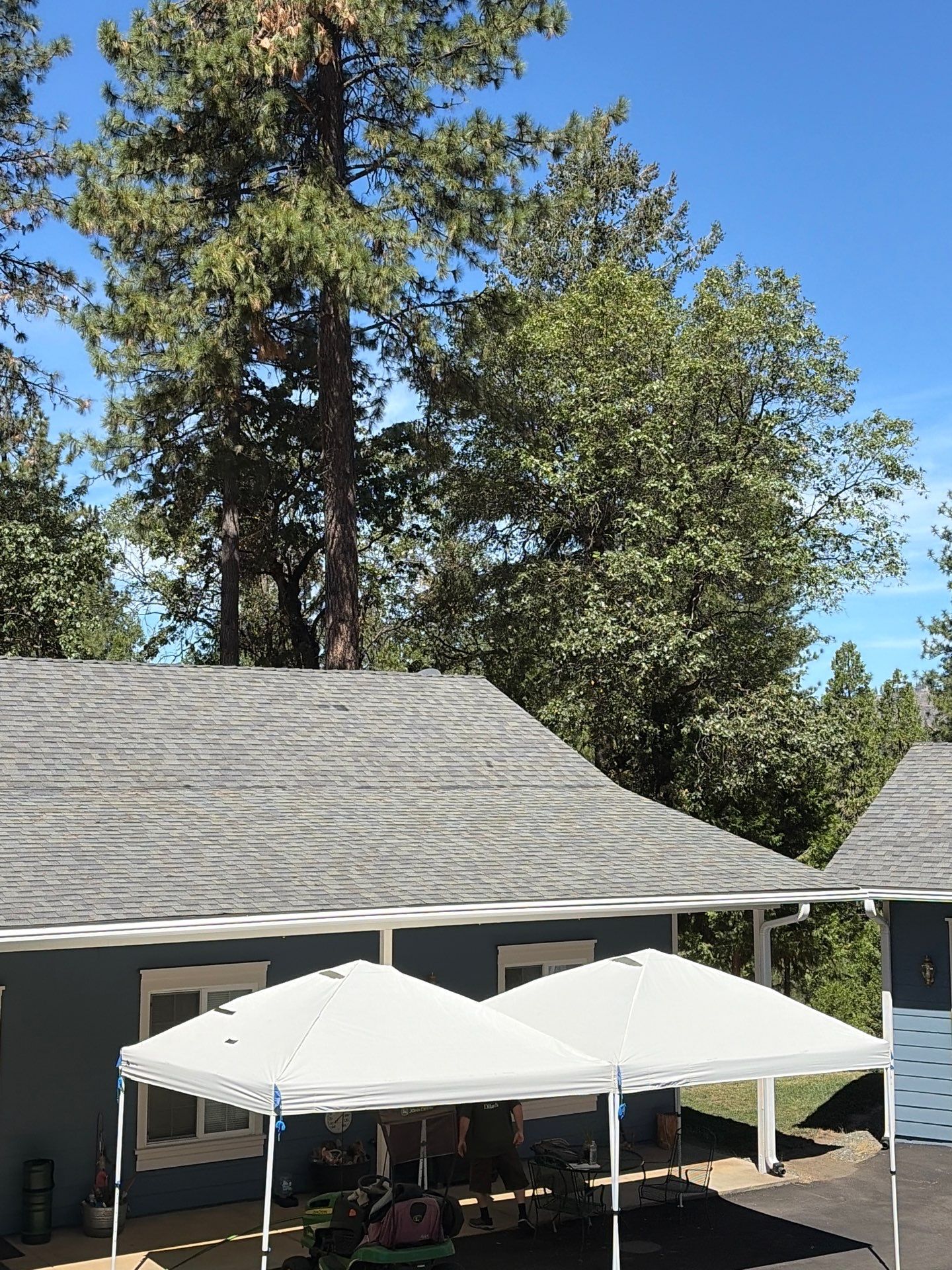 Roof Rejuvenation using Roof Maxx Treatment by Roof Maxx of Folsom