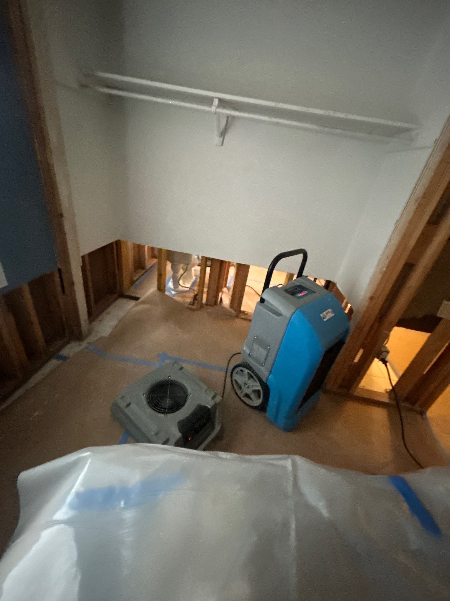 Mold Inspection And Removal Siesta Key FL  by Ampm Restoration Services 