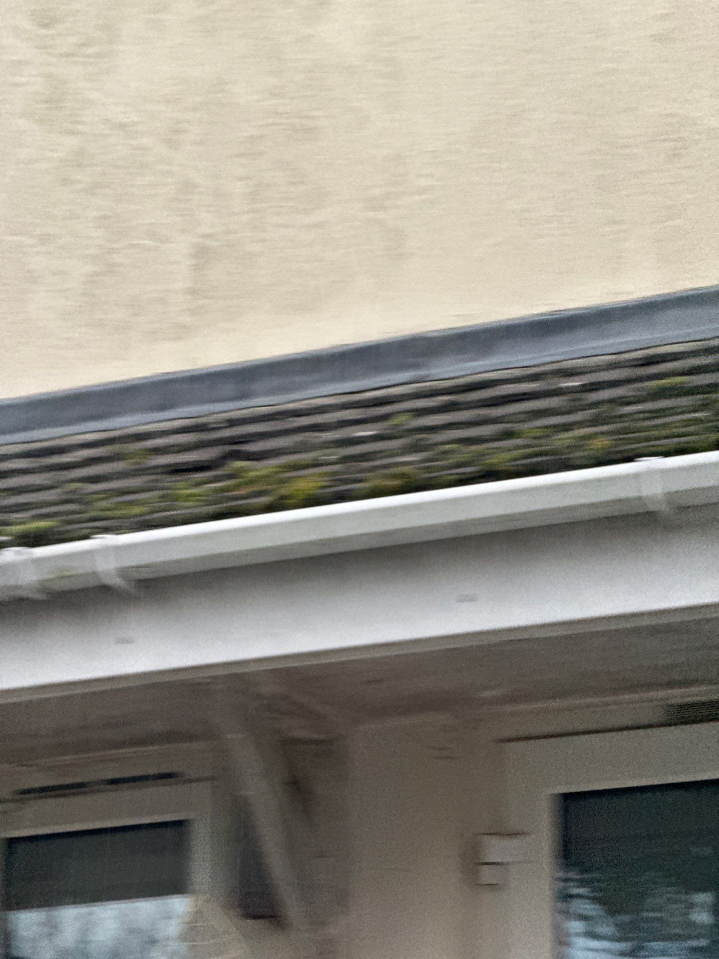 Commercial Roof Clean -Block Of Flats using Honda 15lpm Low Pressure Washing Machine by Ges Exterior Cleaning ltd