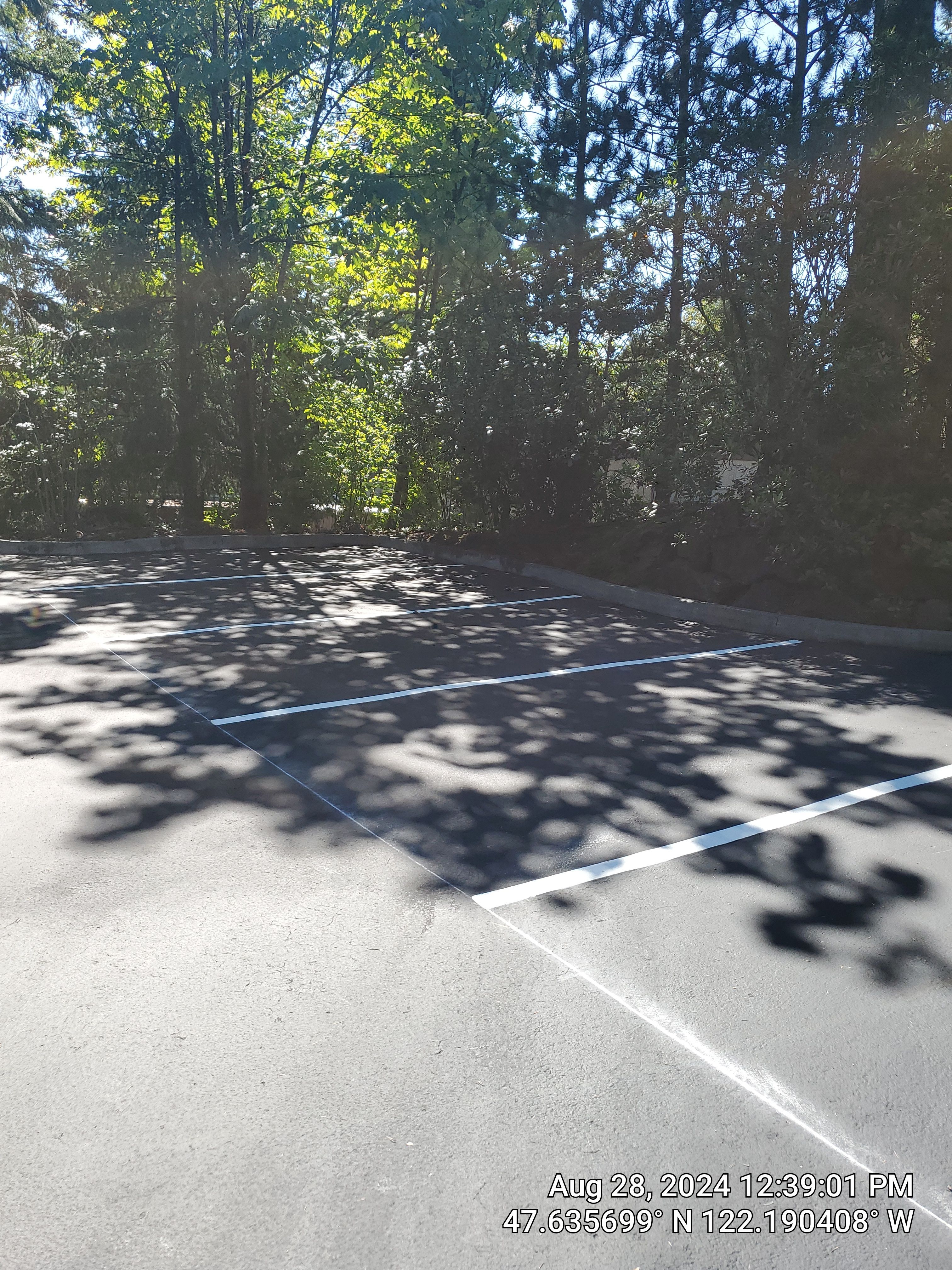 Buchan | Business Parking Lot Repair & Striping by Jireh Asphalt & Concrete Inc 