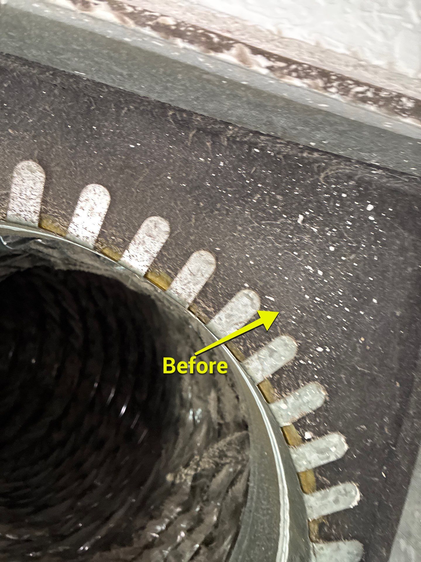 Air Duct Cleaning in Groveland by Hygienic Air, Inc