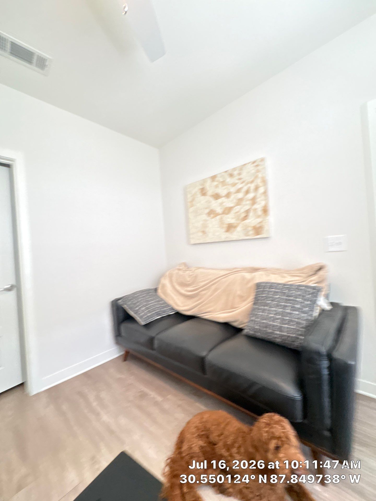 Interior Renovation Featuring Wood-Look Flooring and New Doors in Fairhope by CompanyCam Sales Demo