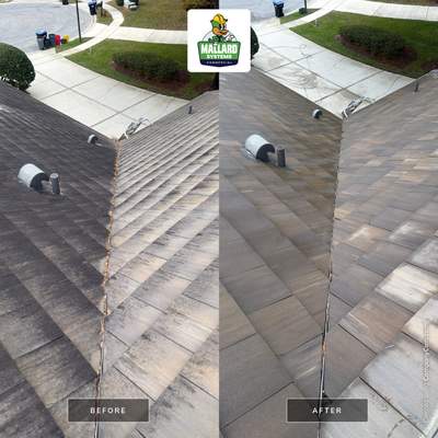 Flat Tile Roof Cleaning