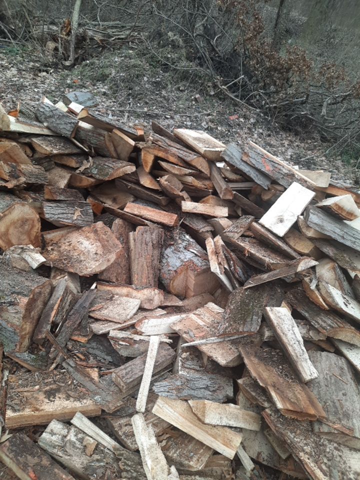 Tree Removal using Tree Removal by Mike Jones & Sons Tree Service LLC 