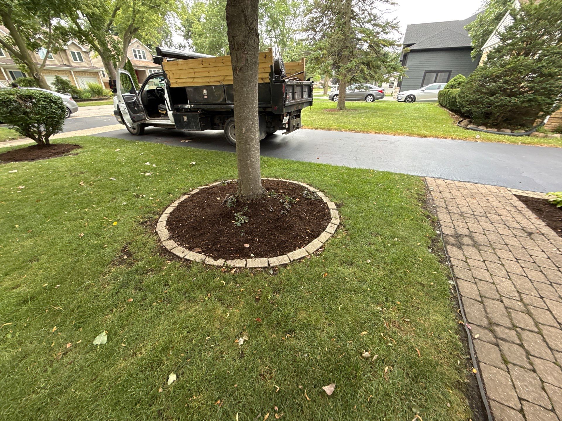 Karen M. - Palatine, IL by A&N