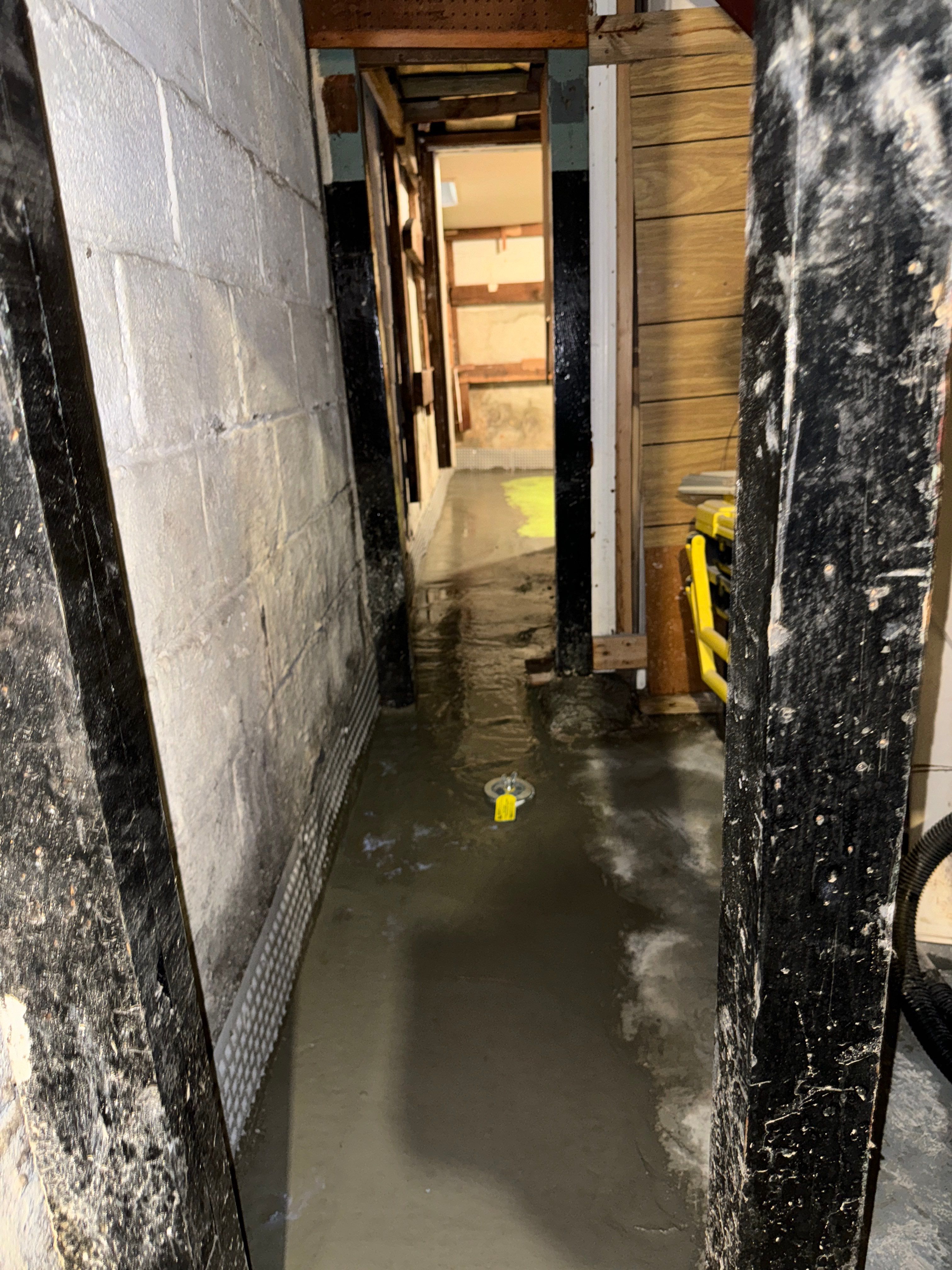 Interior French Drain & Mold Remediation Little Falls NJ by Pure Service Pro, LLC 