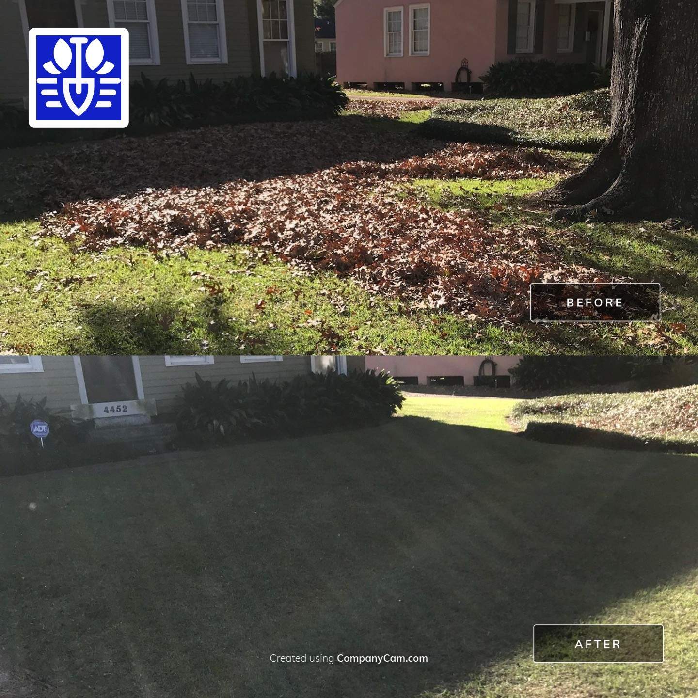 WINTER SERVICES: FULL LEAF JOB by CutScape, LLC.