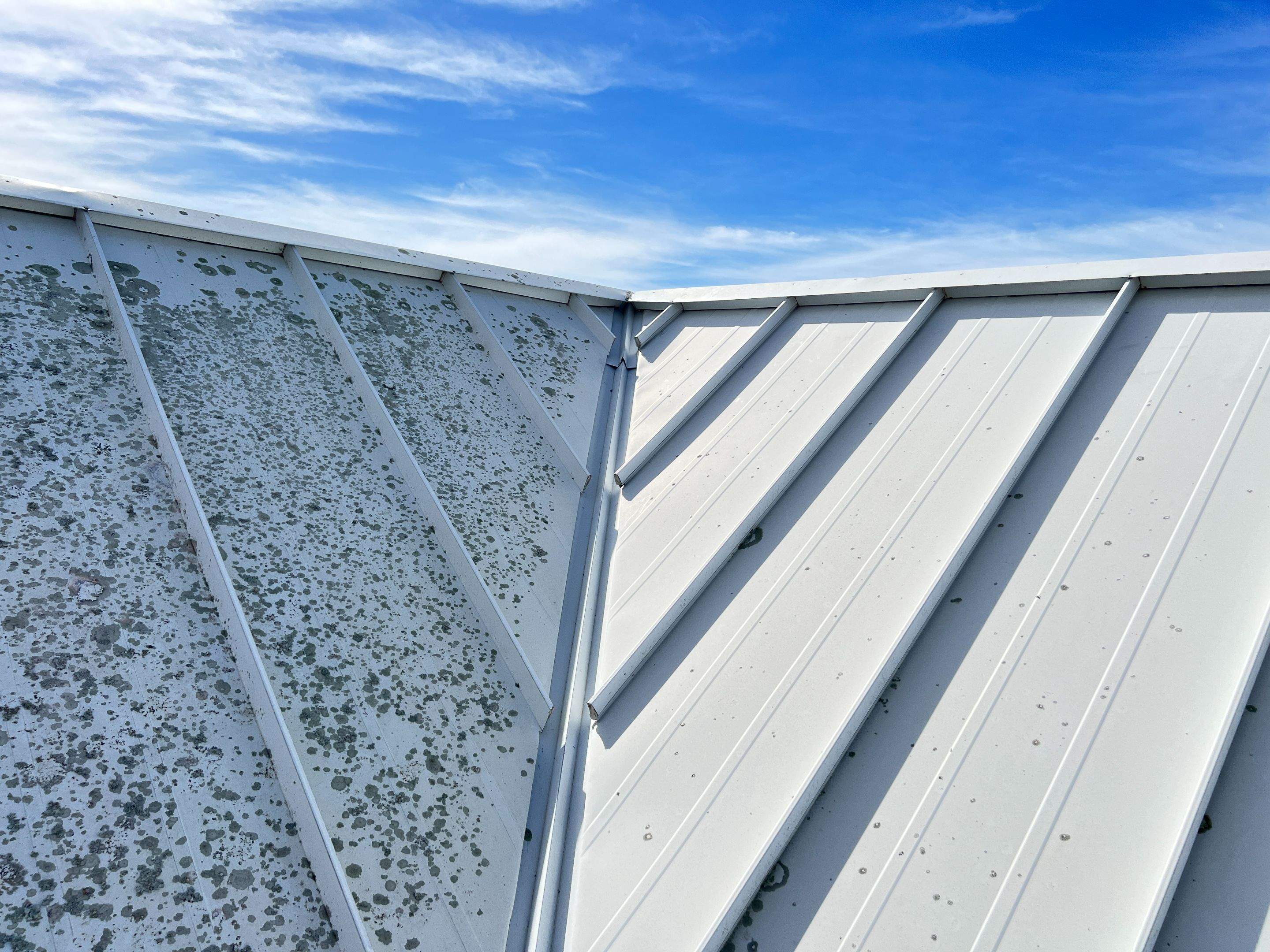 Roof Damage Claim in Sarasota by FLAPA & KeyStone