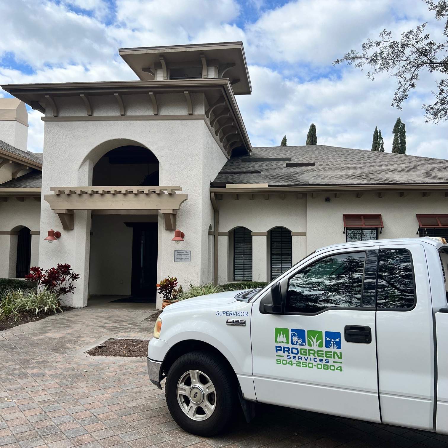 William's Walk | Italian Cypress Removal by ProGreen Services