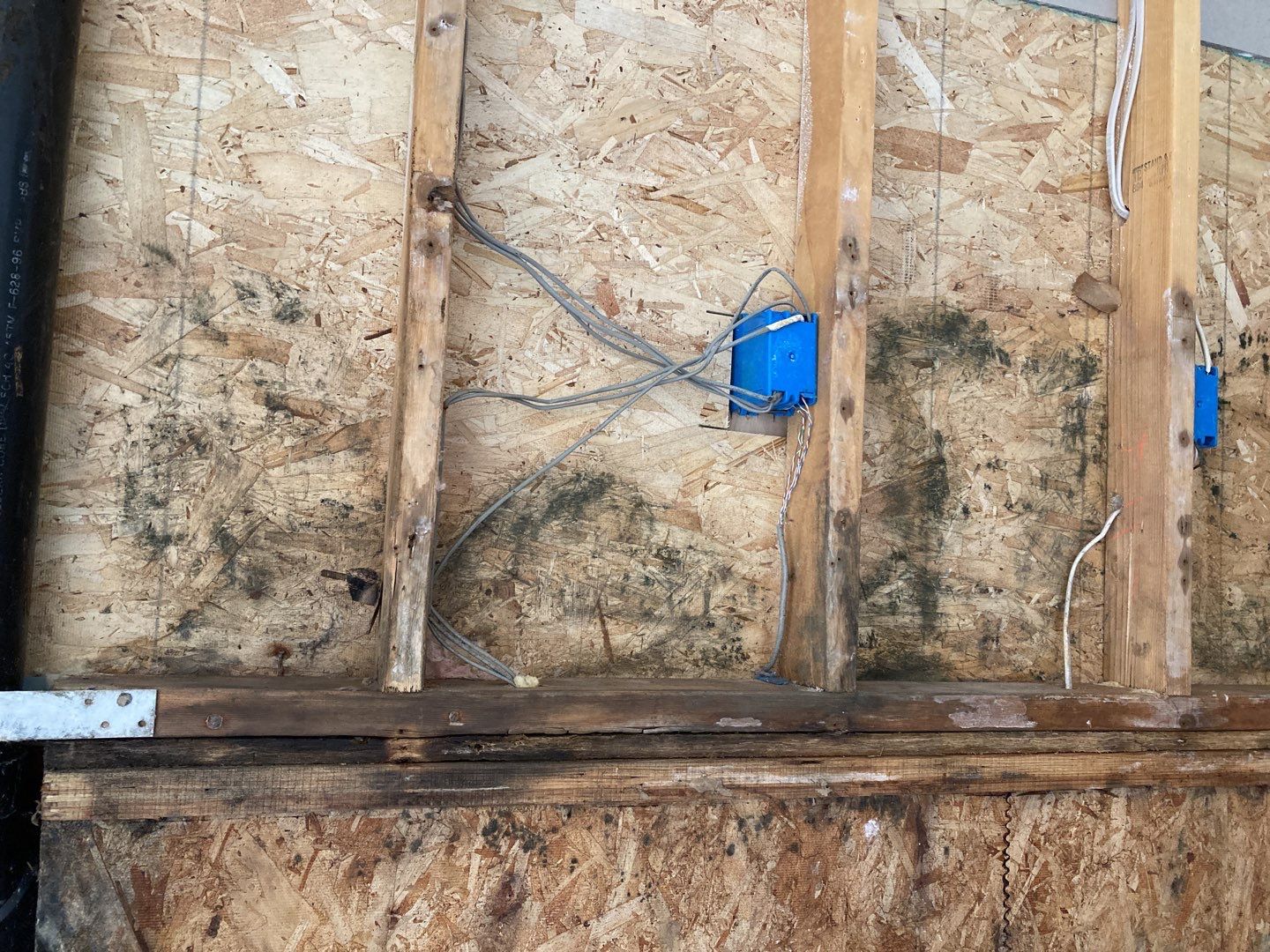 Mold Remediation using Containment by Accountable Home Services