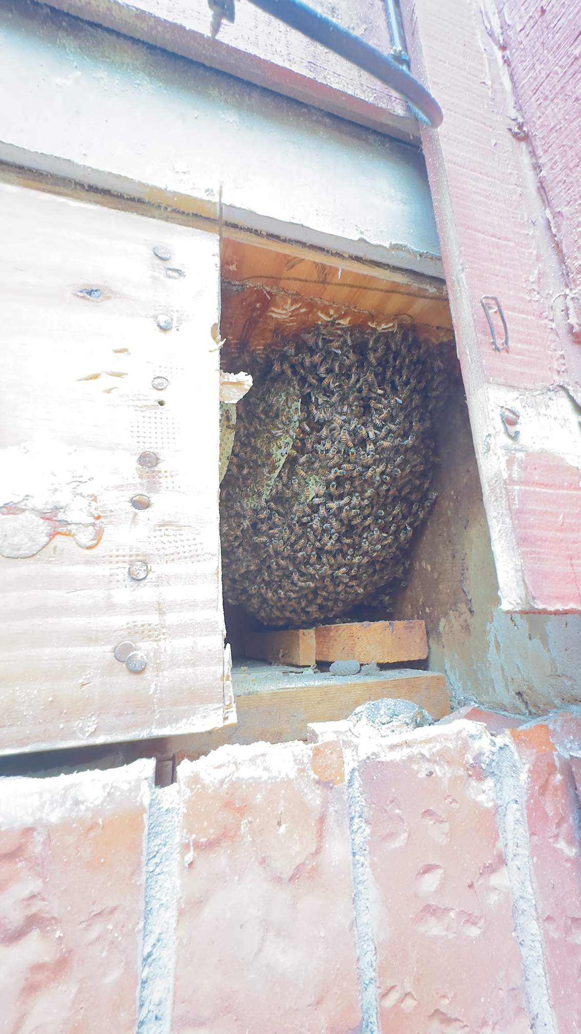 Apartment by Rockwall Honey Bee Company