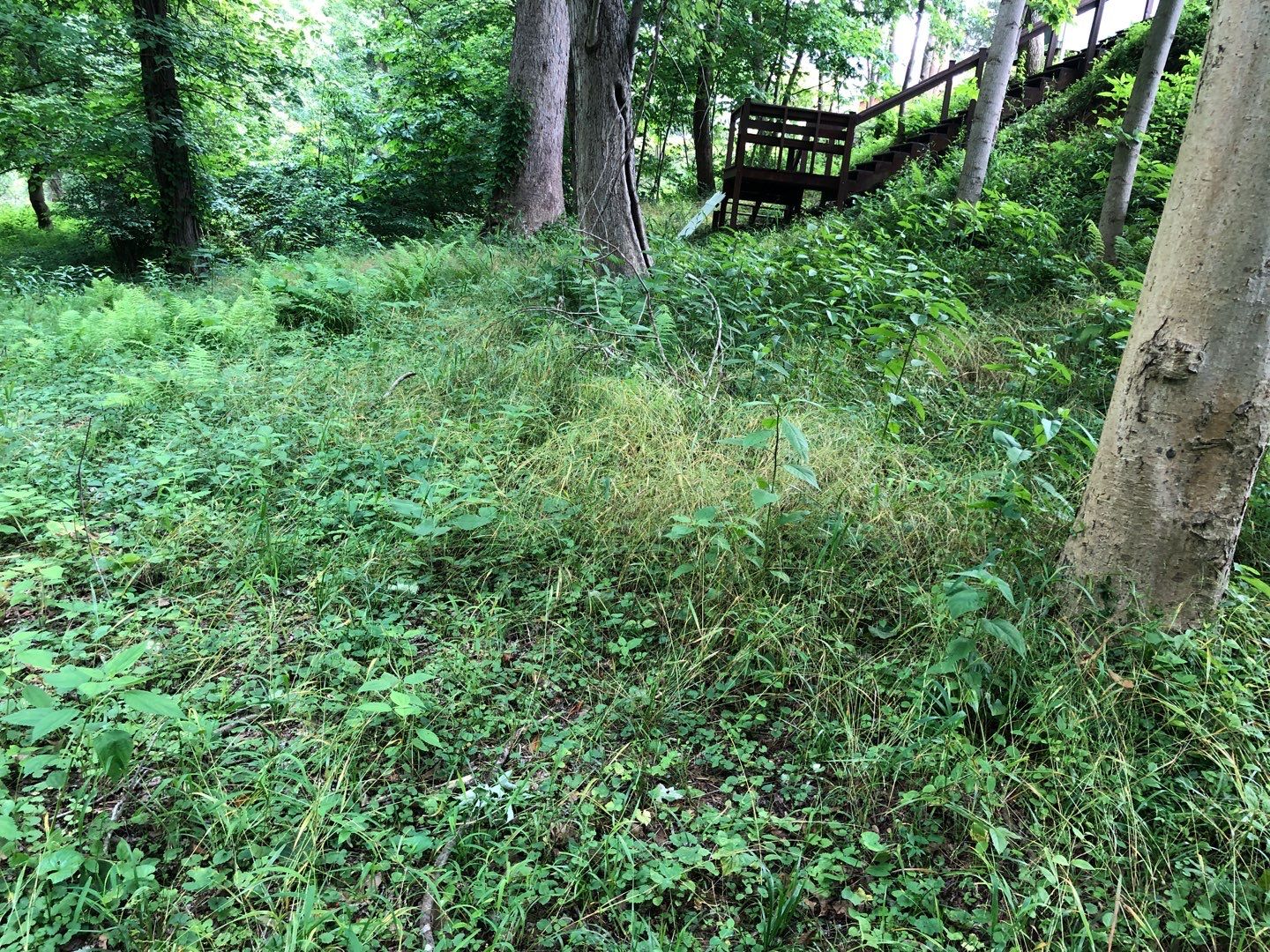 Gain unused yard space by GrassBusters, Inc.