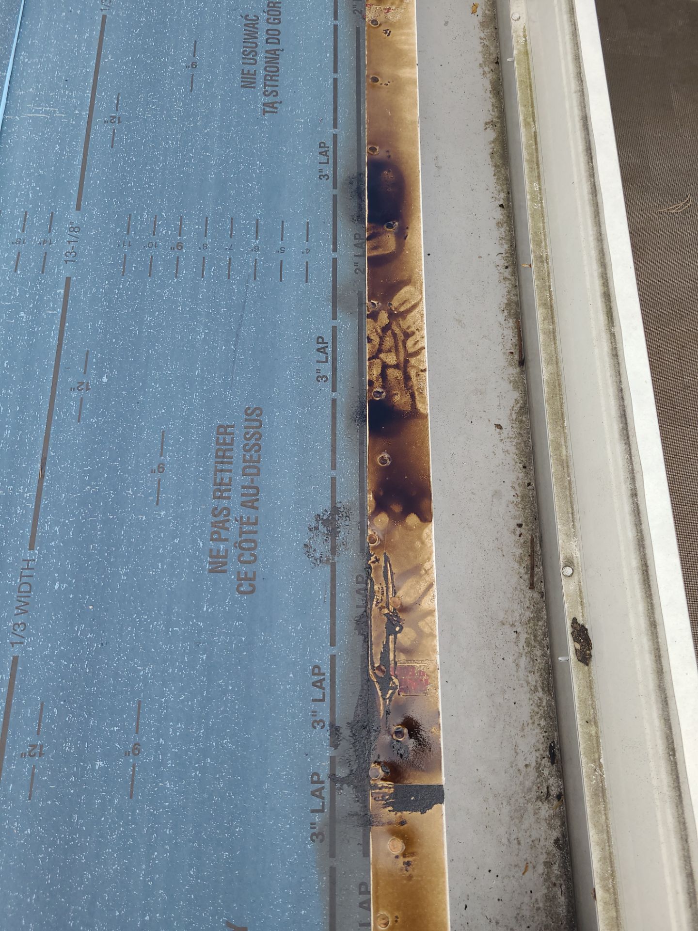 Flat Roof Replacement and Fascia Repair in Margate by Aastro Roofing