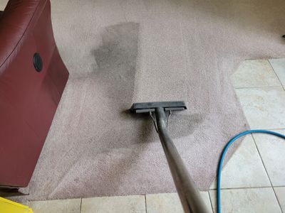 Woodland Carpet Re-stretch and Cleaning