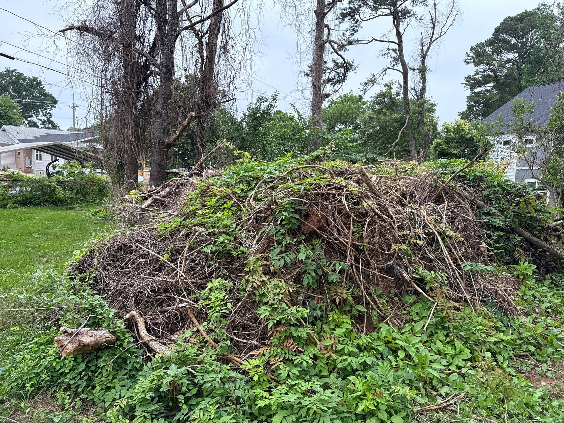 Project in Charlotte by Badger Hauling