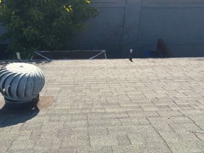 Alpha Eagle Roofing field photo 1 — Union City, California
