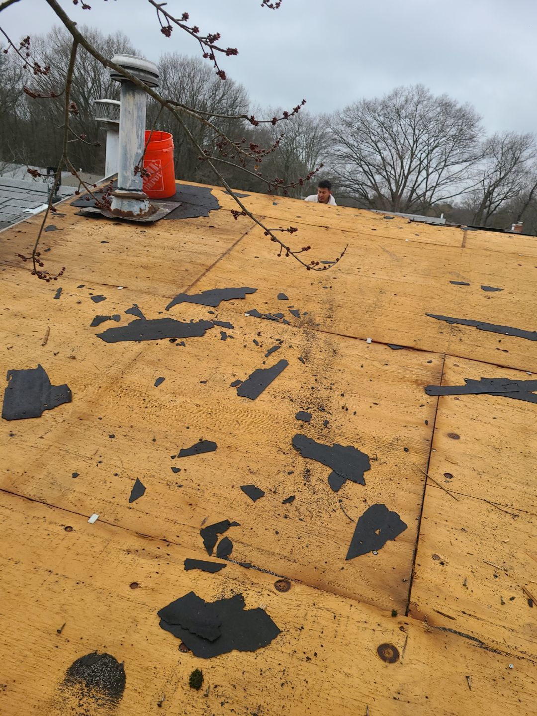 Alexandria Certainteed Landmark Roof in Colonial Slate by RM Banning, Inc.