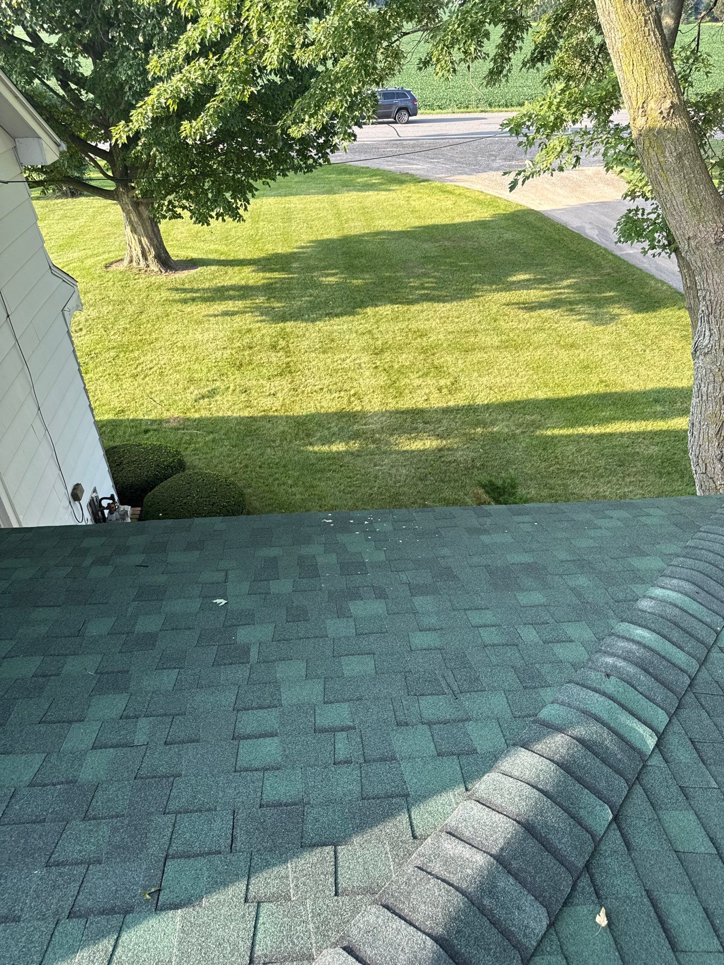 GREEN with Envy  by 42 North Construction, LLC.
