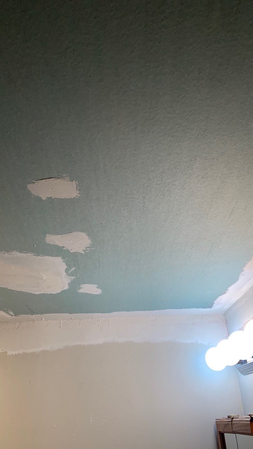Ceiling & Shower Repair by A1 NERDY HOMES LLC