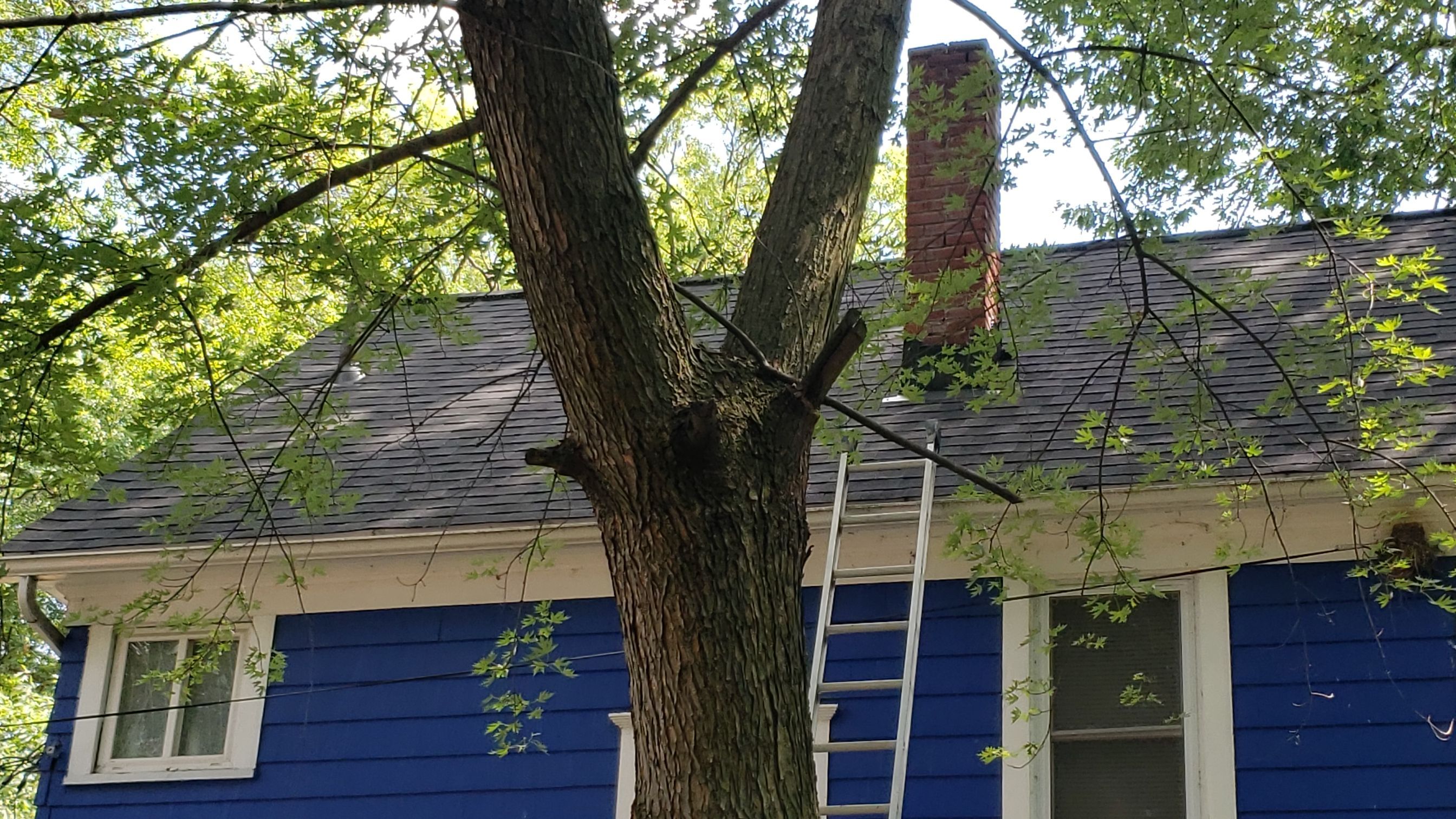 ATLAS PINNACLE COLOR: SCOTCHGARD BLACK DRIP EDGE: WHITE by Eagle Eye Roofing