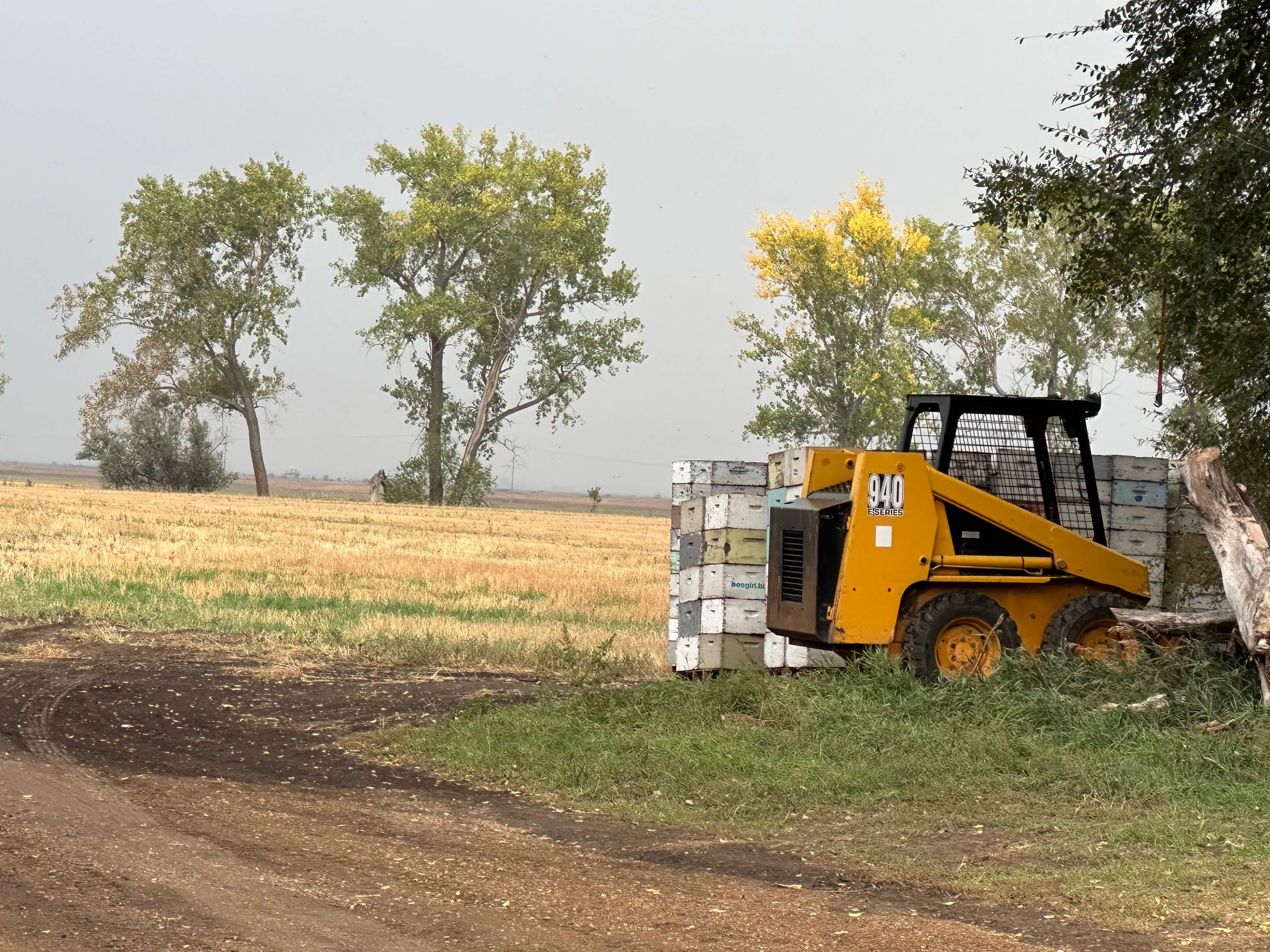 BeeGirl's Honey House in the Midwest by Rockwall Honey Bee Company