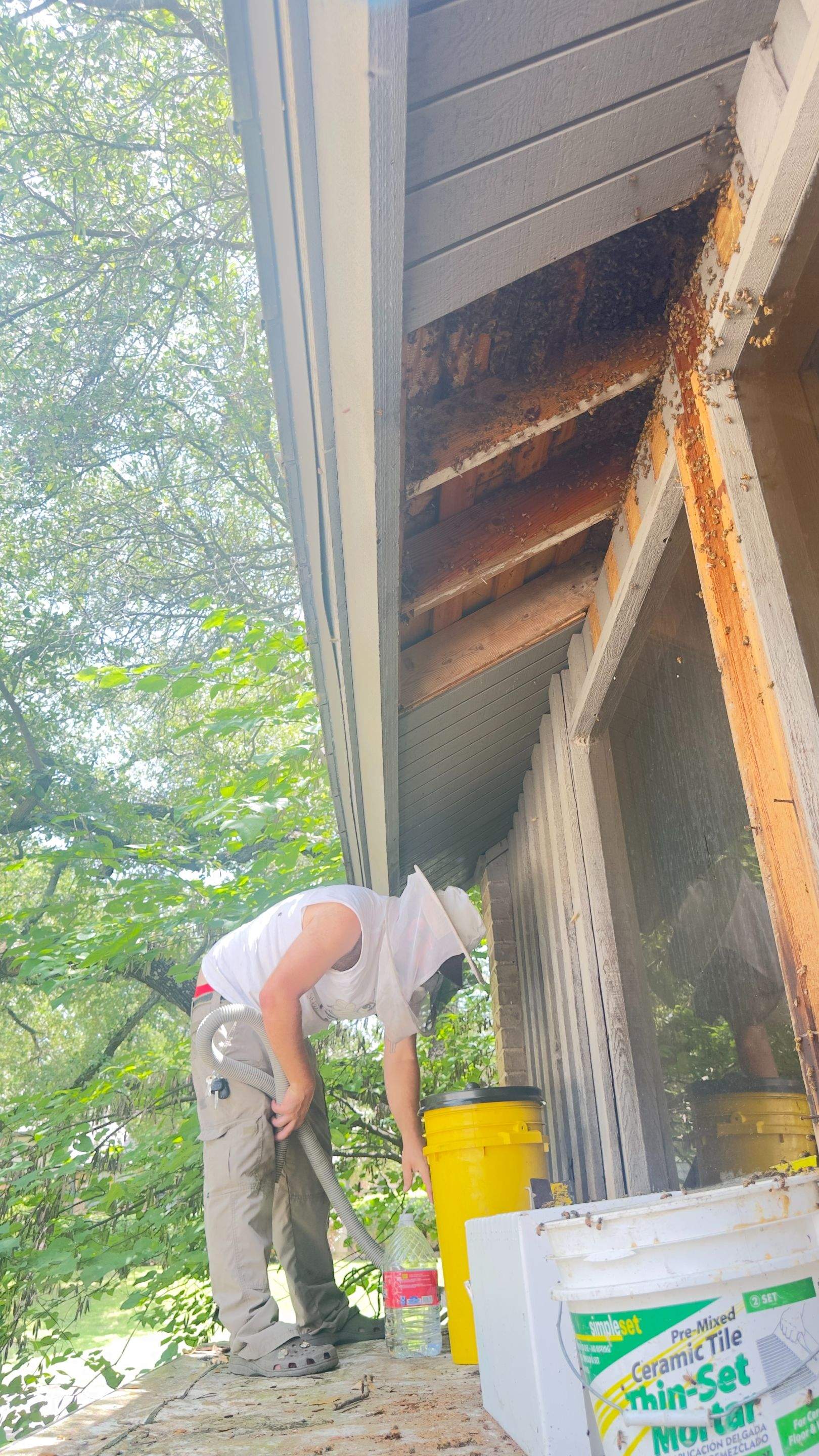 Old Faithful by Rockwall Honey Bee Company